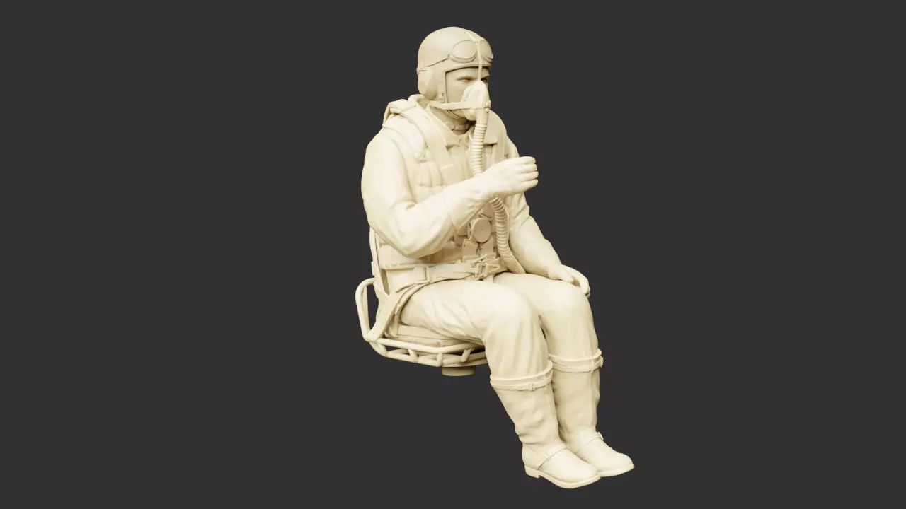 German WWII Stuka Gunner 3D print model_0
