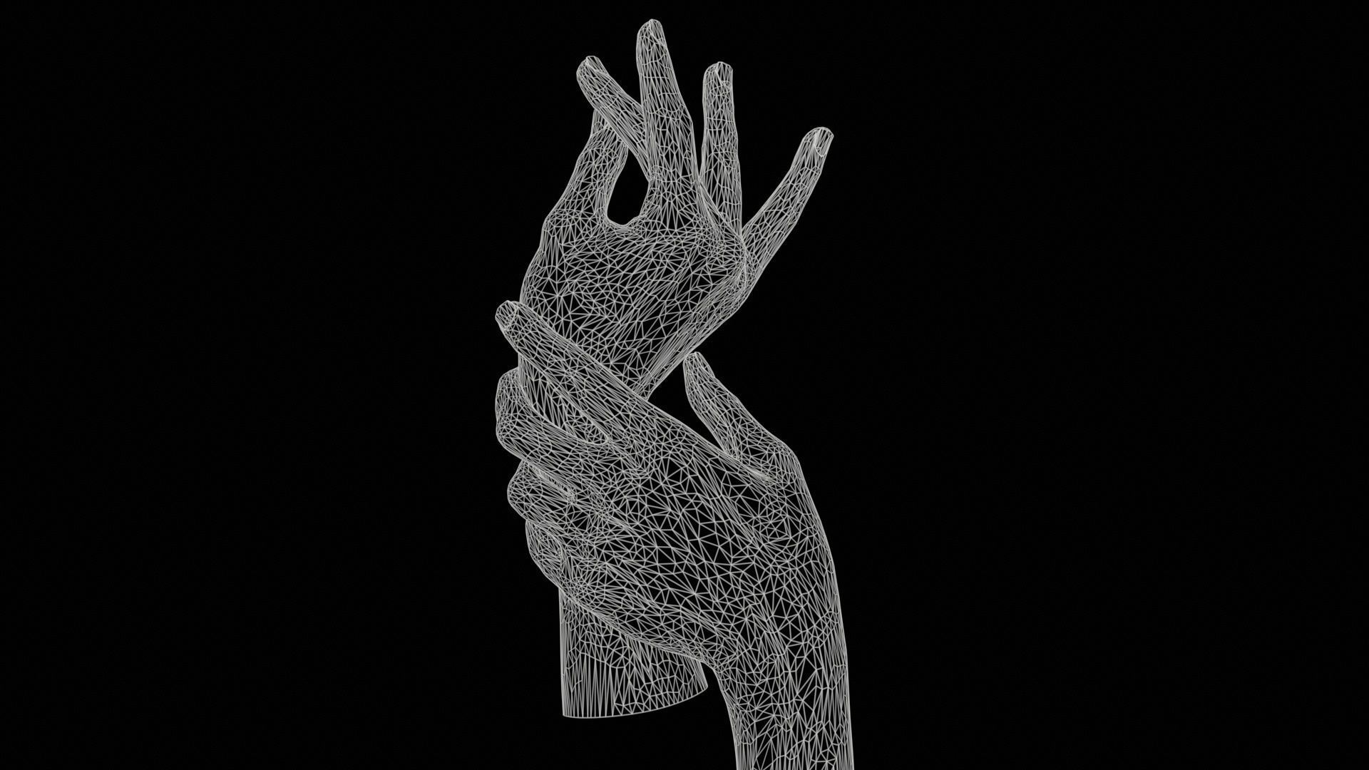 Duo Hands 021 Low-poly 3D model_11