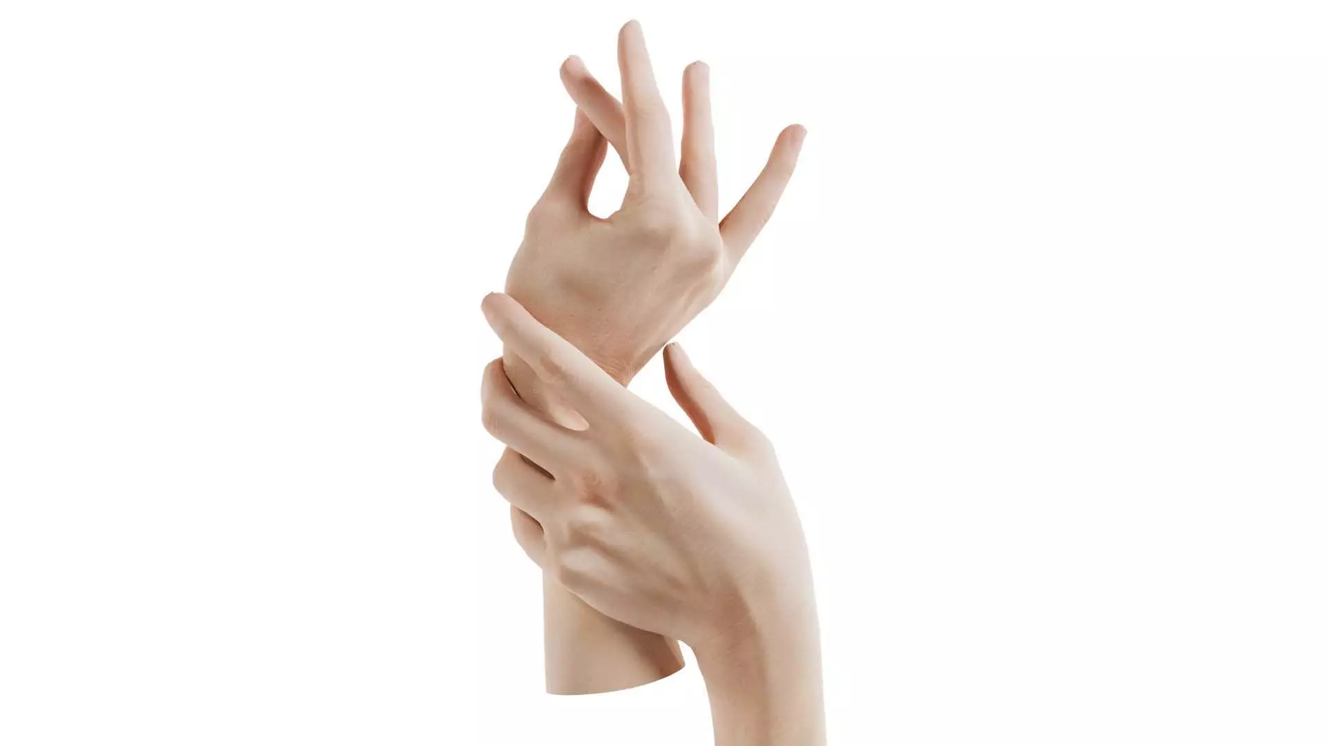 Duo Hands 021 Low-poly 3D model_0