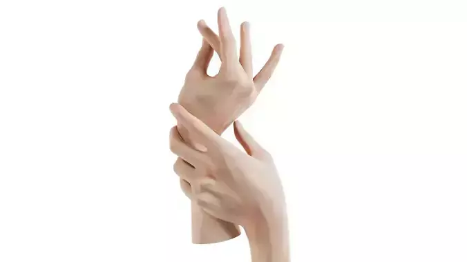 Duo Hands 021 Low-poly 3D model