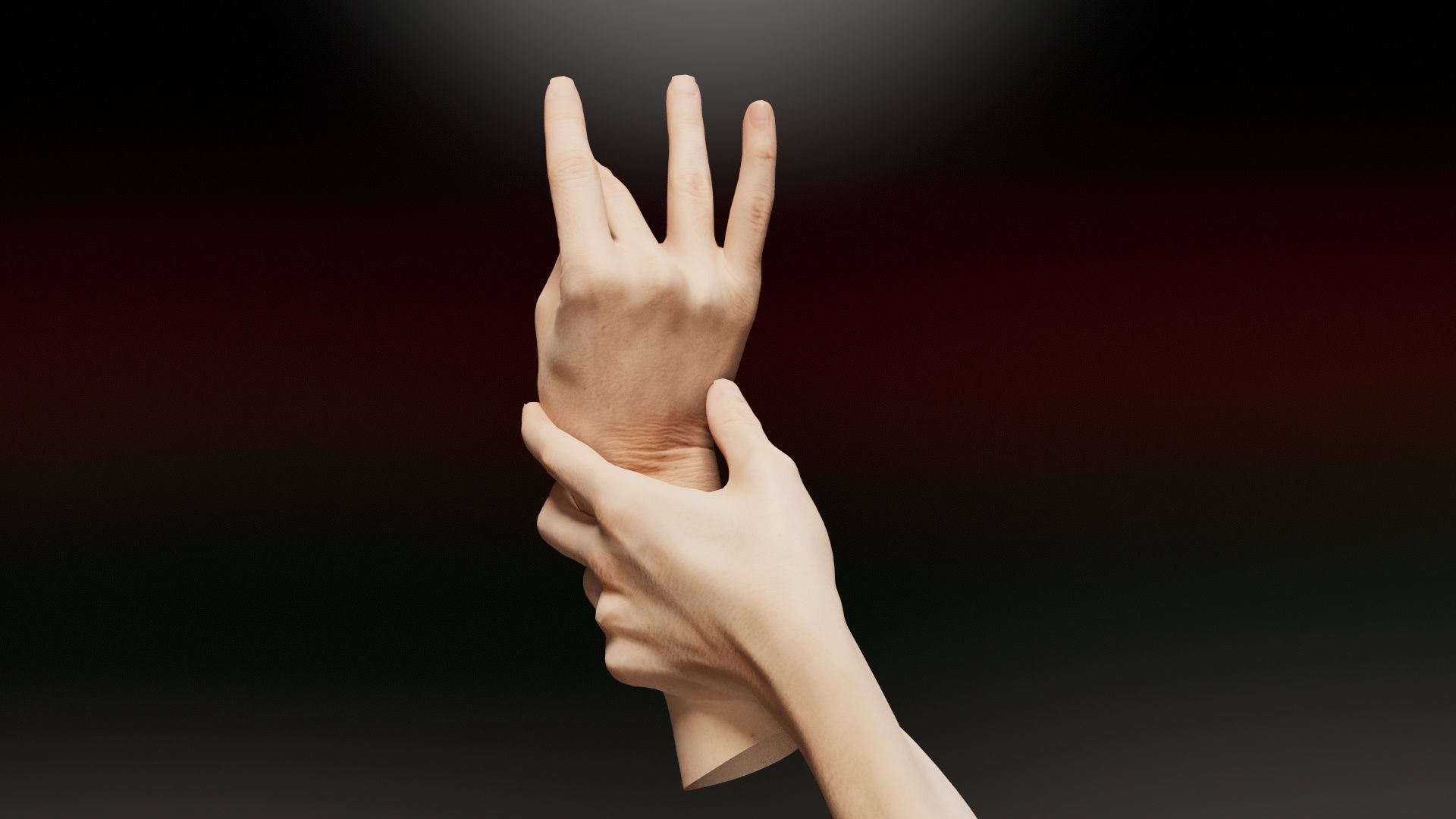 Duo Hands 021 Low-poly 3D model_5
