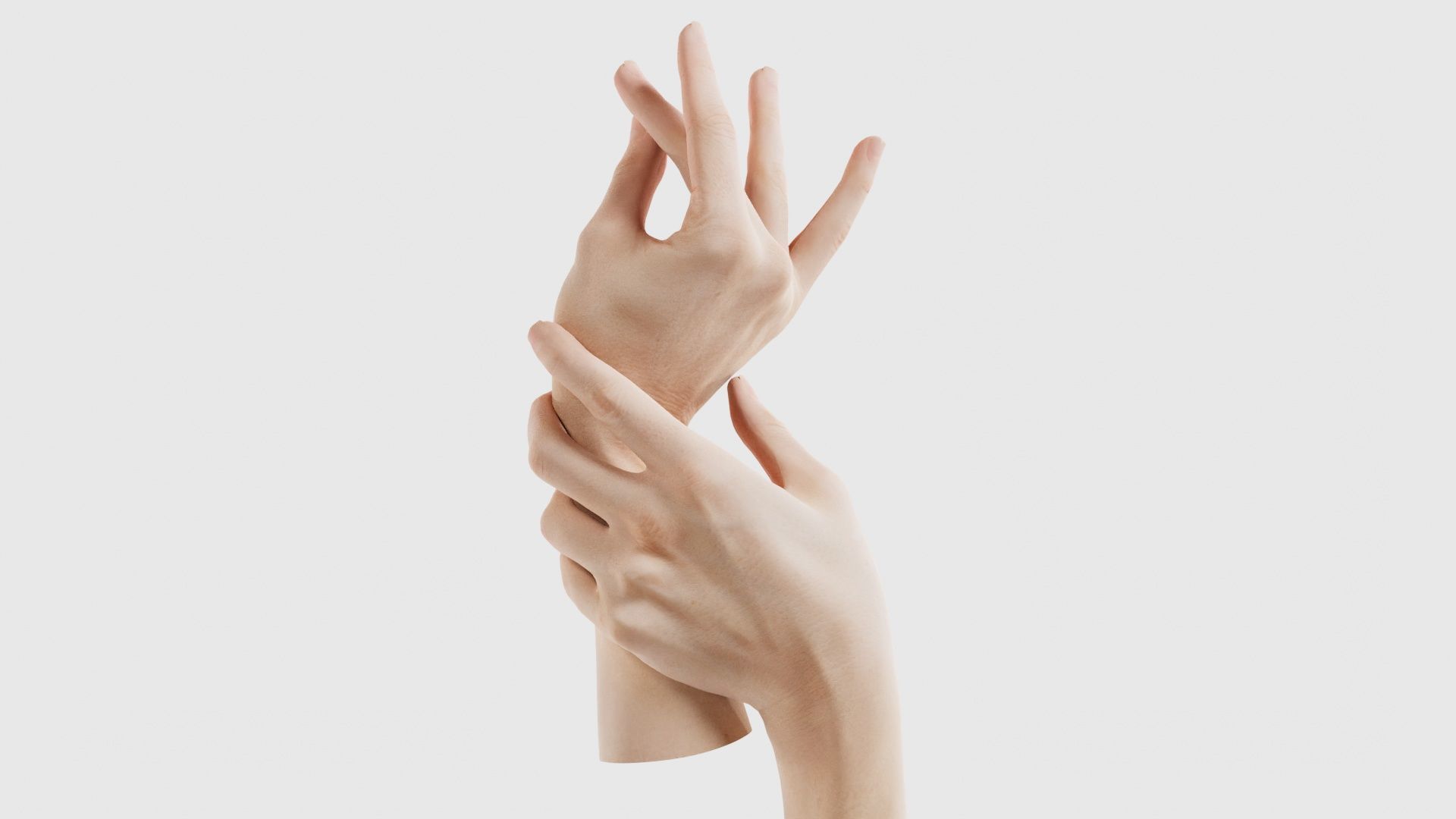 Duo Hands 021 Low-poly 3D model_15
