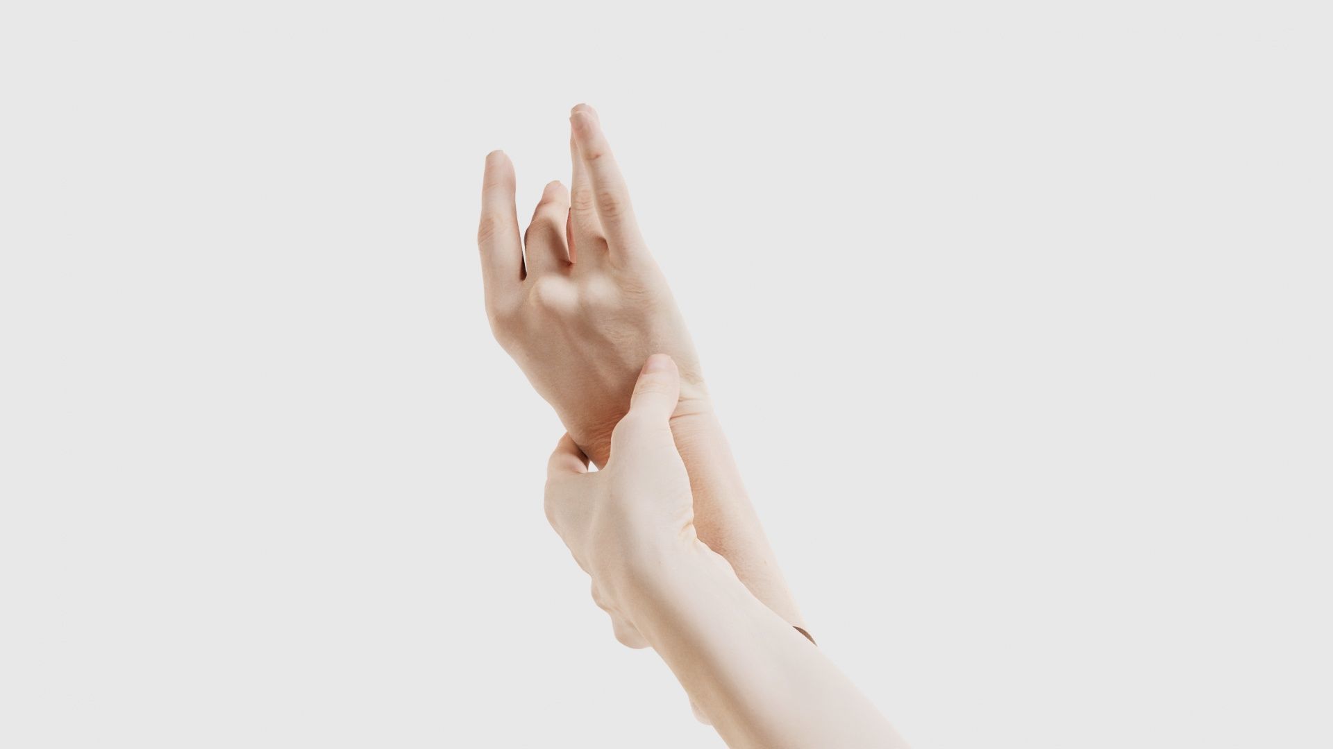 Duo Hands 021 Low-poly 3D model_24
