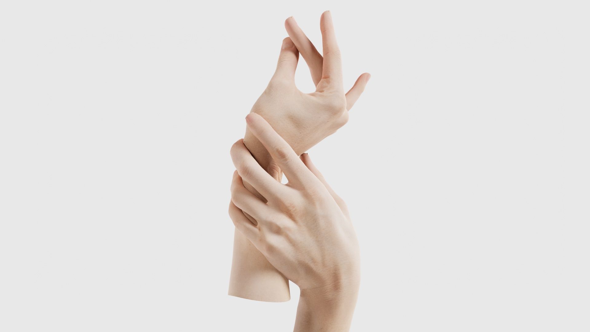 Duo Hands 021 Low-poly 3D model_16