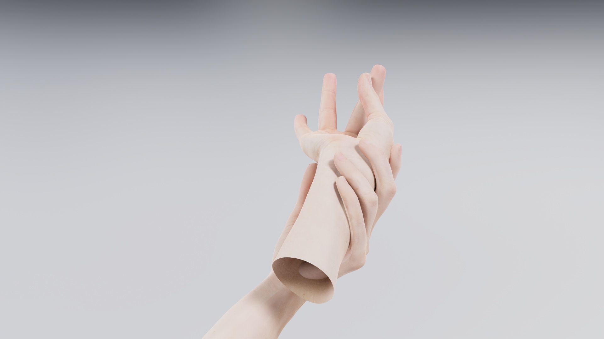 Duo Hands 021 Low-poly 3D model_1