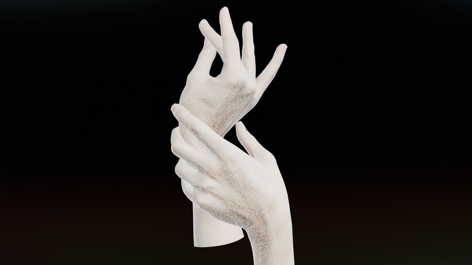 Duo Hands 021 Low-poly 3D model_9
