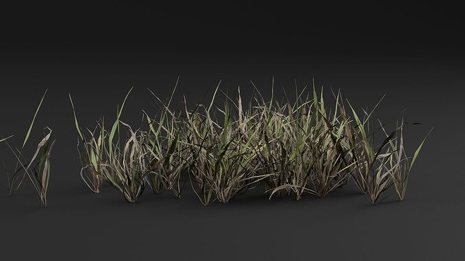 Grass Clumps 3D model