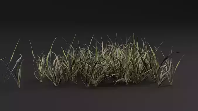 Grass Clumps