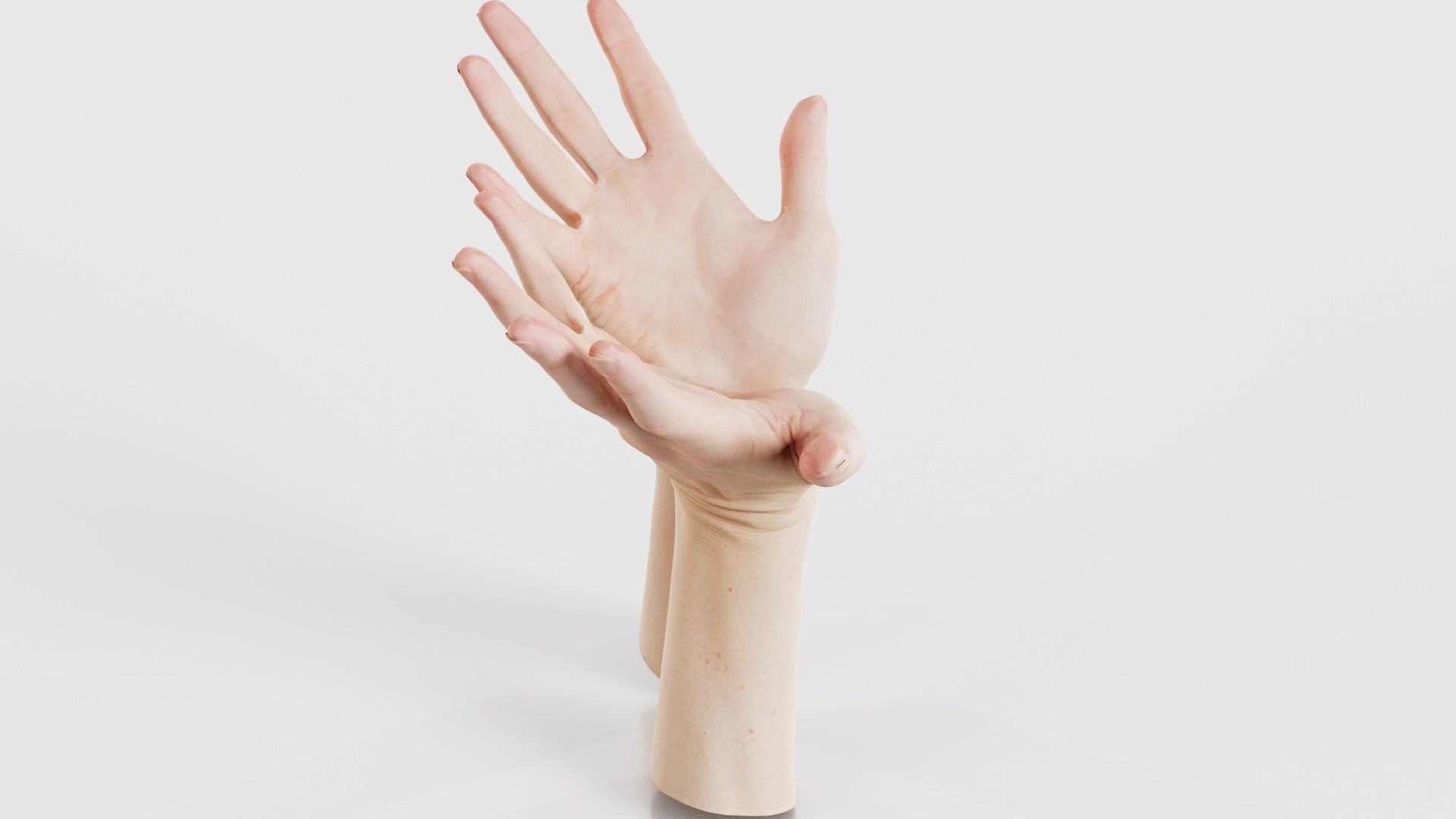 Duo Hands 023 Low-poly 3D model_18