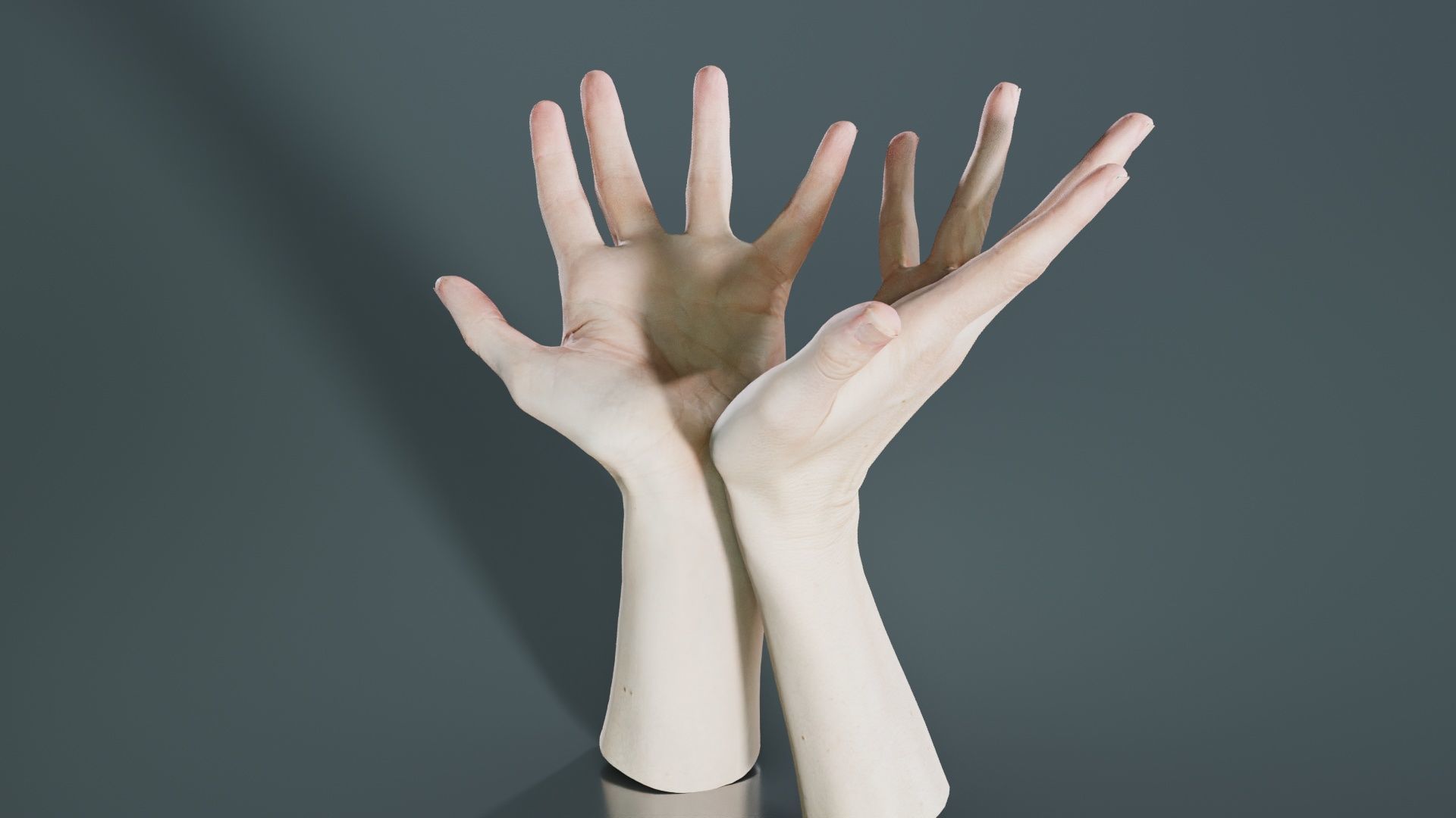 Duo Hands 023 Low-poly 3D model_4