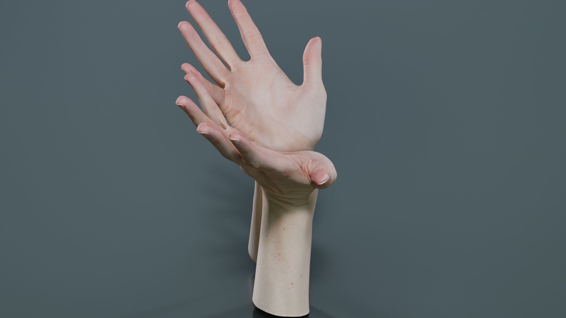 Duo Hands 023 Low-poly 3D model_8