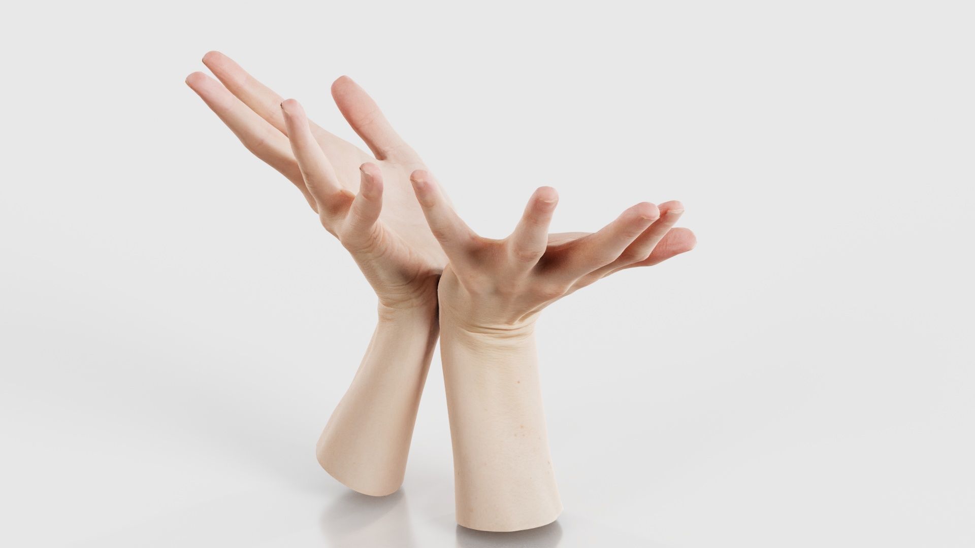 Duo Hands 023 Low-poly 3D model_20