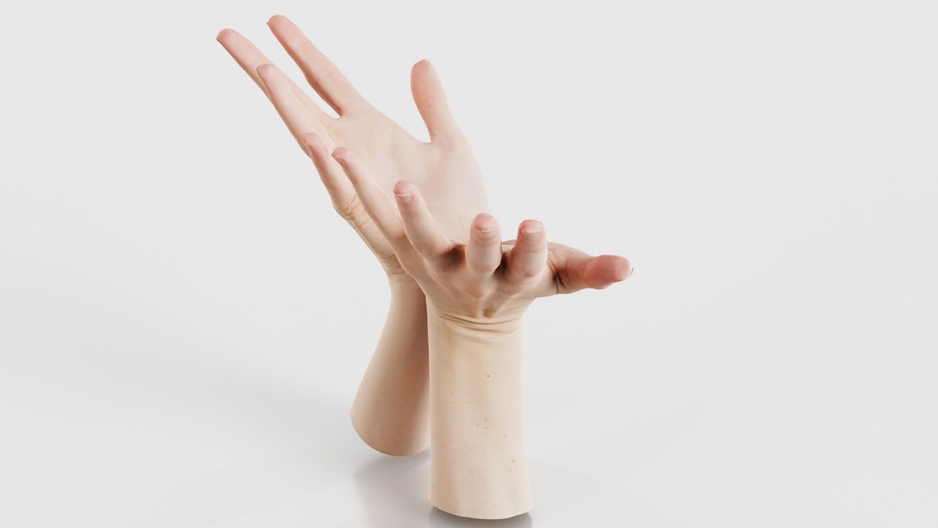 Duo Hands 023 Low-poly 3D model_19