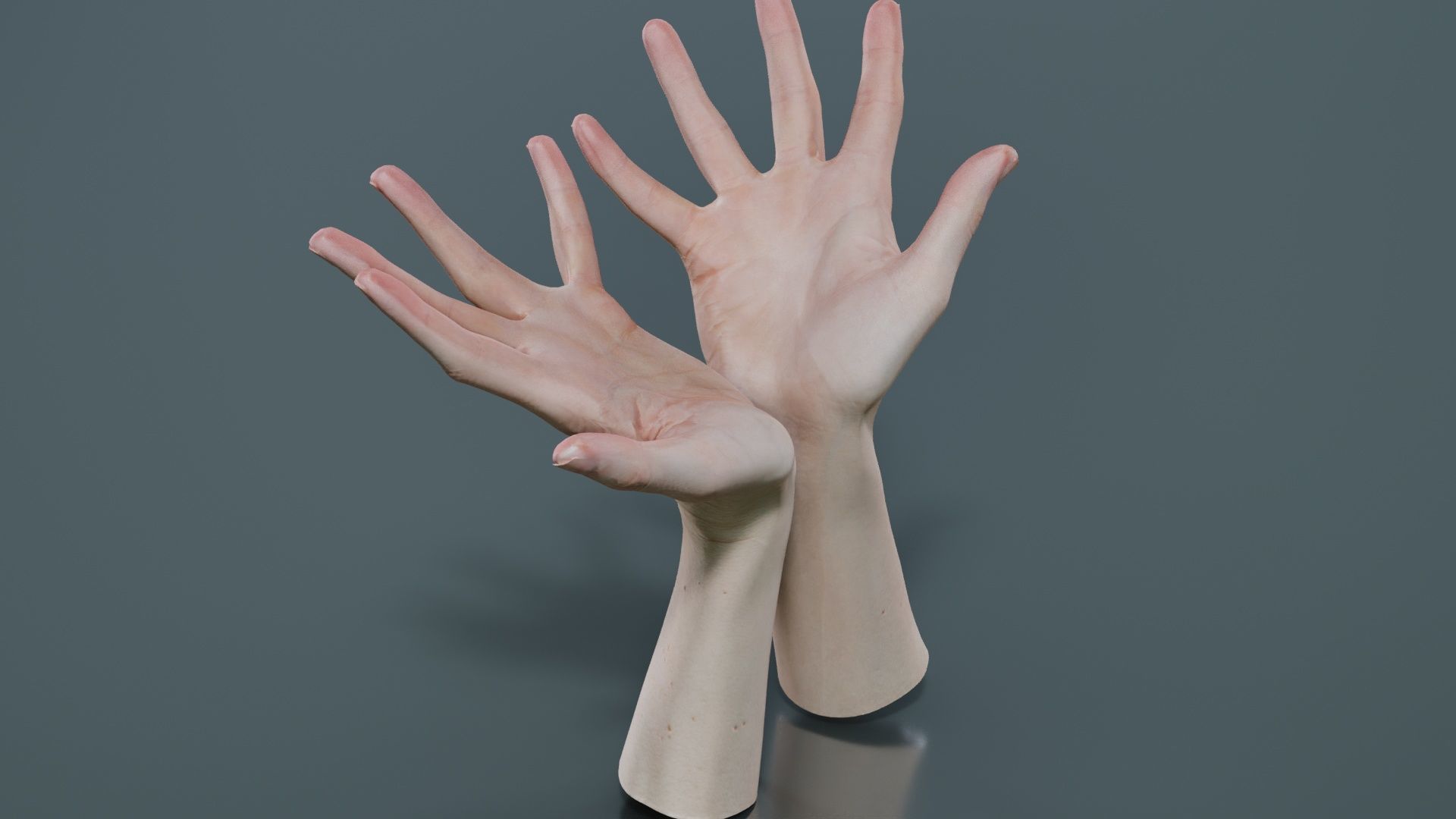 Duo Hands 023 Low-poly 3D model_5