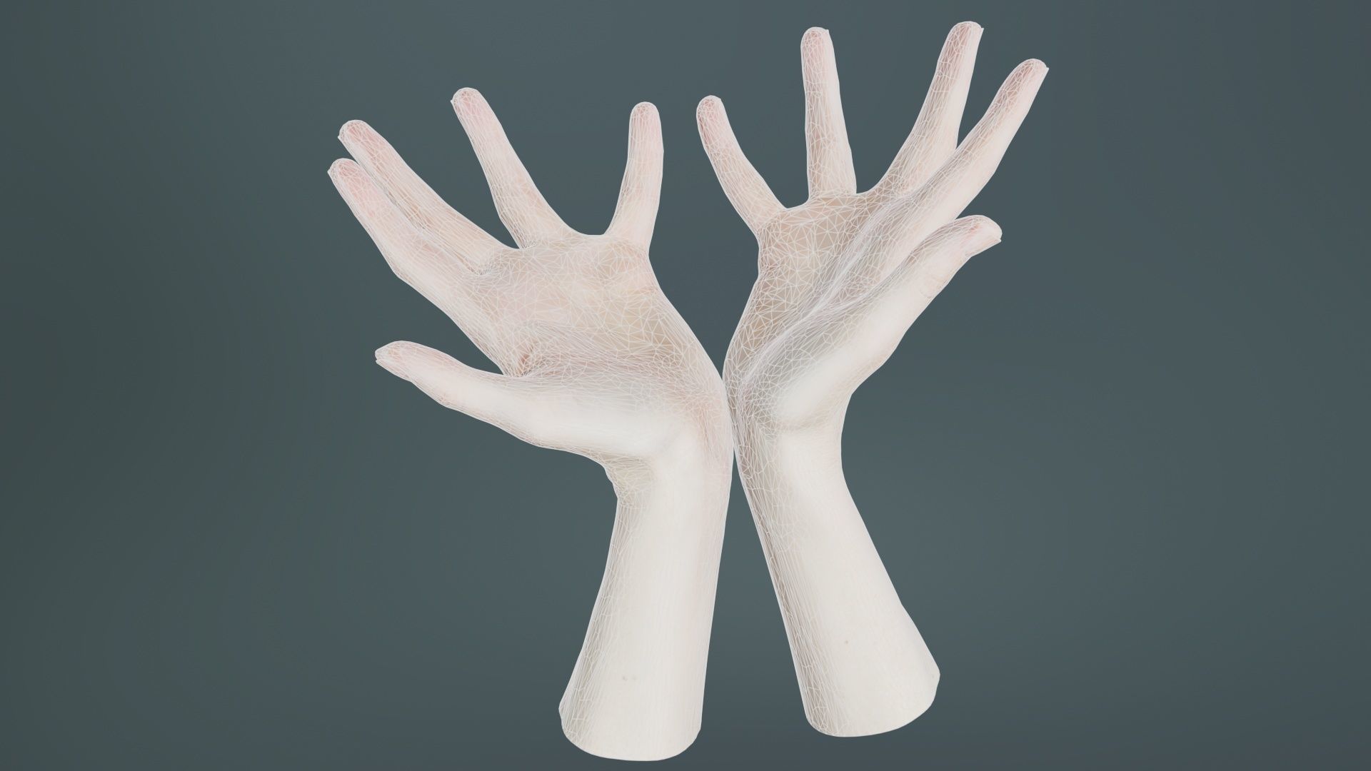 Duo Hands 023 Low-poly 3D model_9