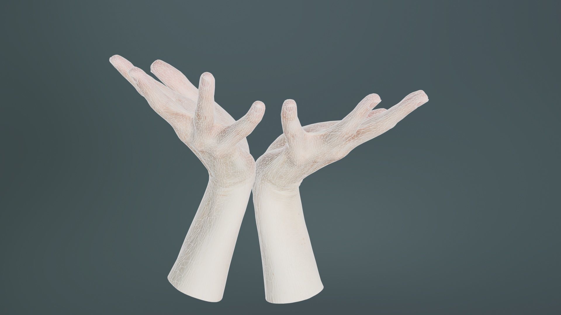 Duo Hands 023 Low-poly 3D model_10