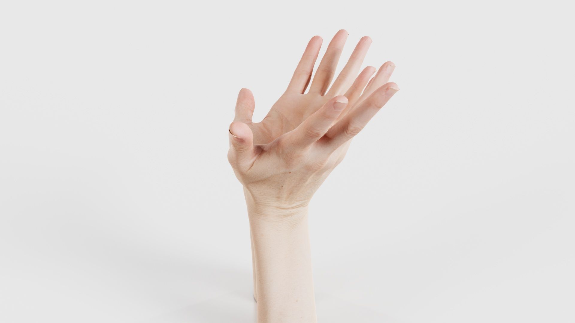 Duo Hands 023 Low-poly 3D model_24