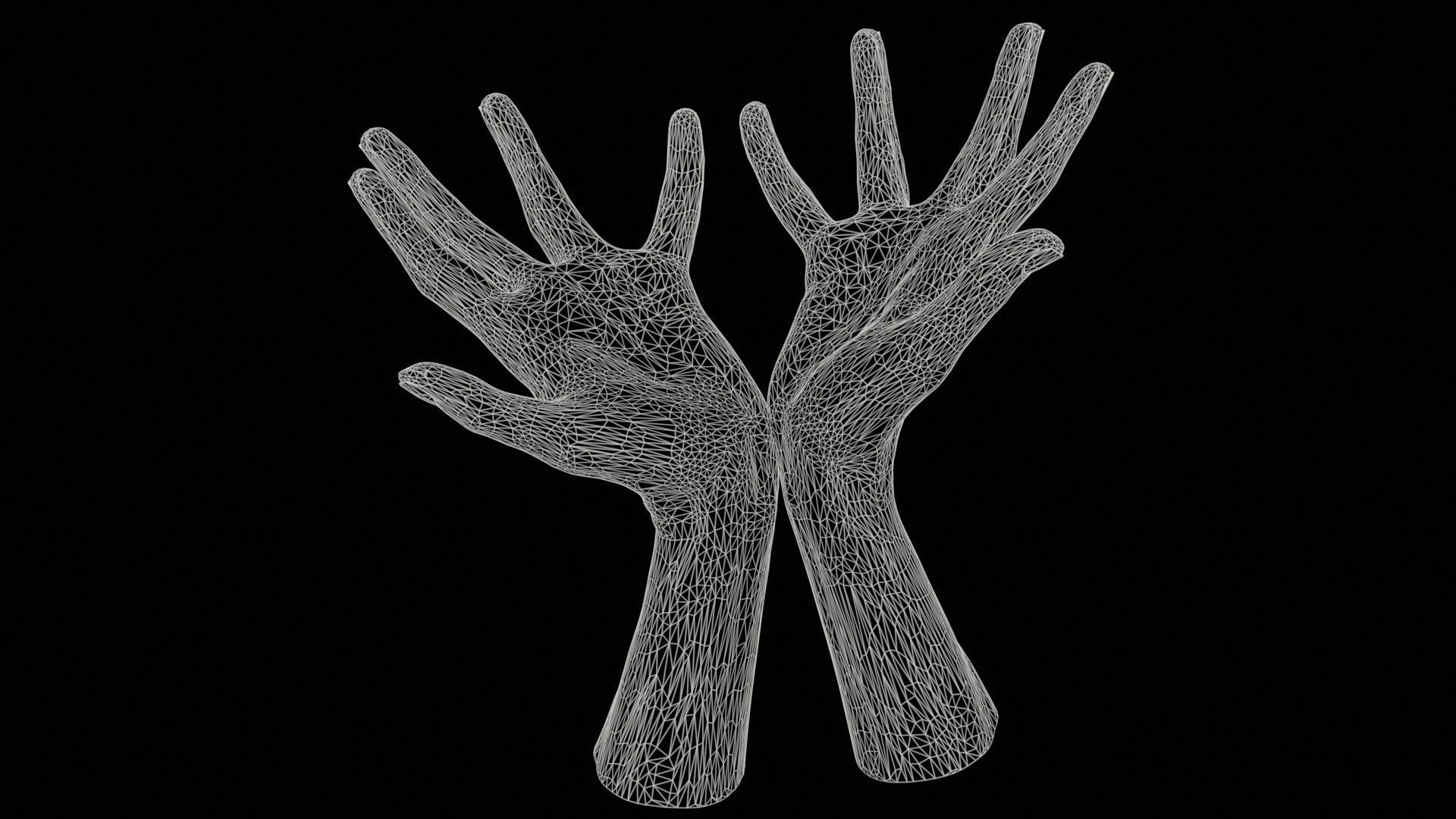 Duo Hands 023 Low-poly 3D model_11