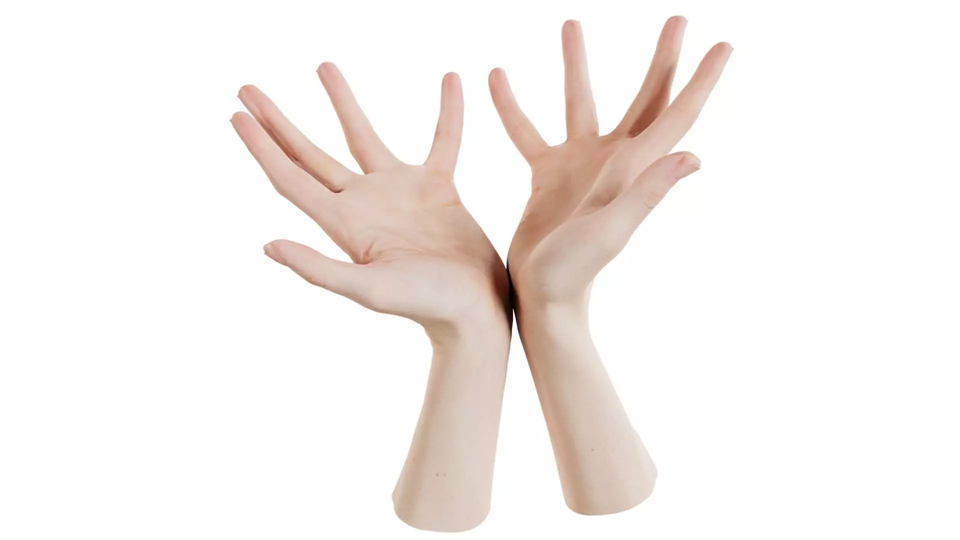 Duo Hands 023 Low-poly 3D model_0