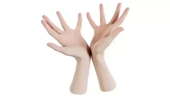 Duo Hands 023 Low-poly 3D model