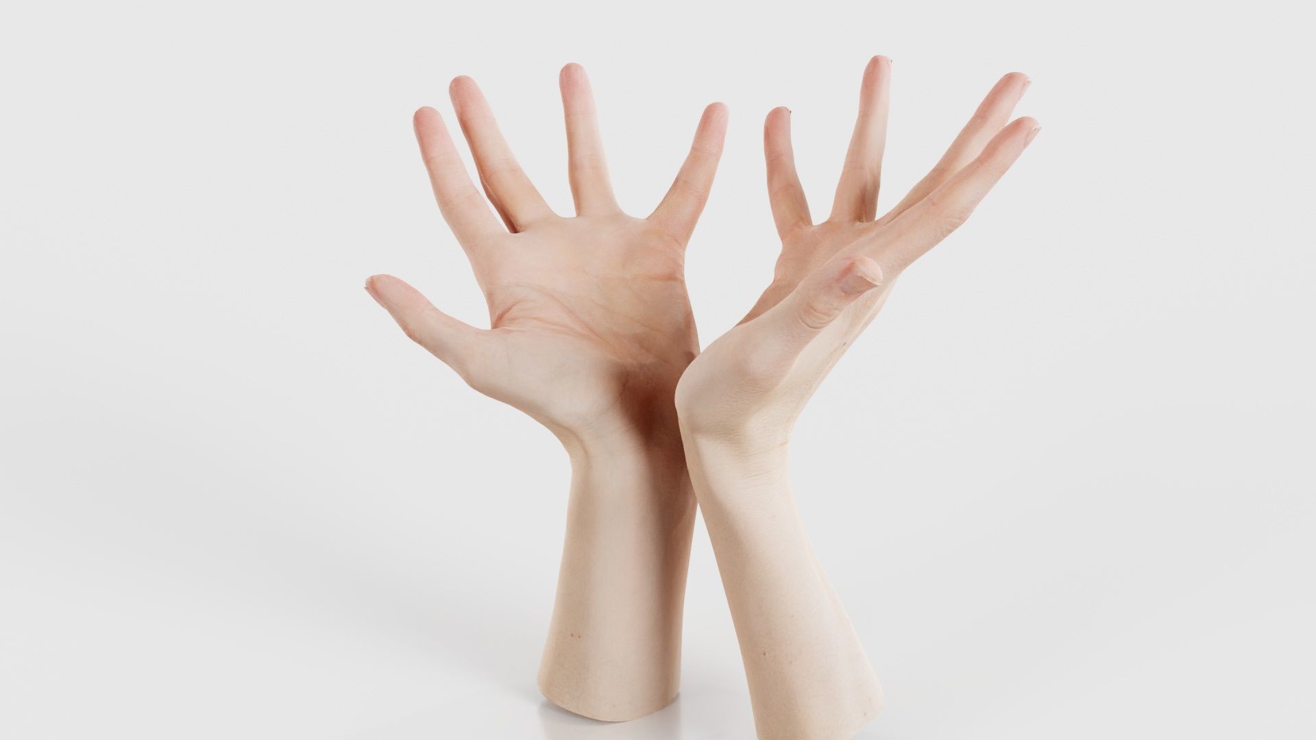 Duo Hands 023 Low-poly 3D model_26