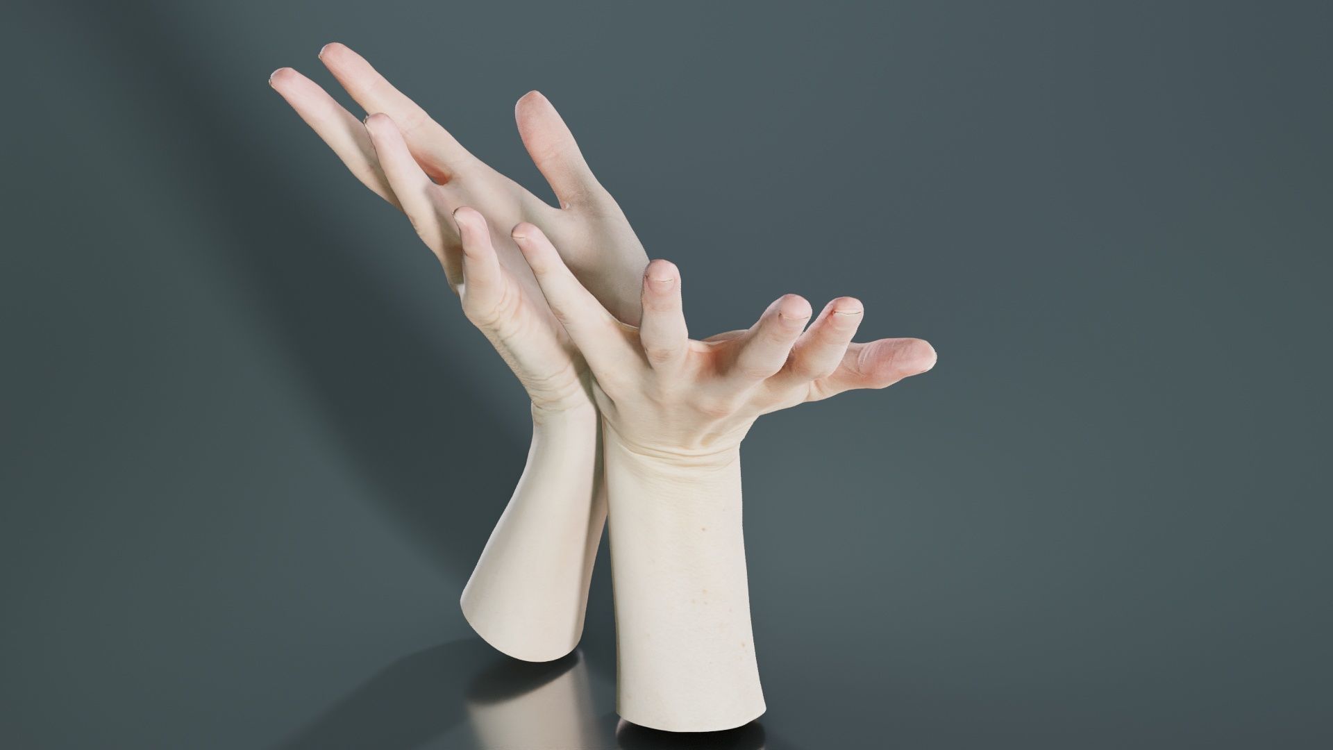 Duo Hands 023 Low-poly 3D model_2