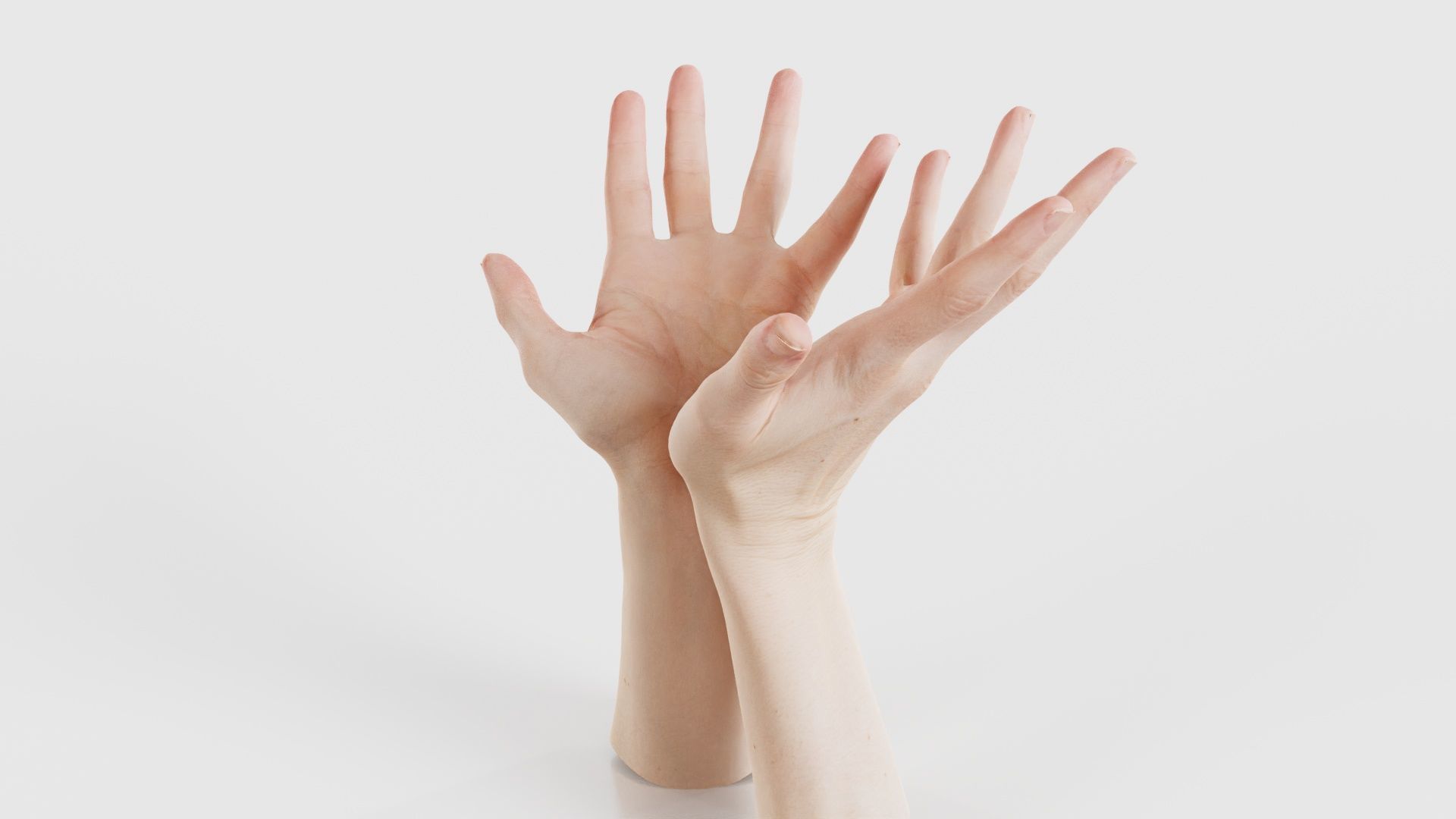 Duo Hands 023 Low-poly 3D model_25