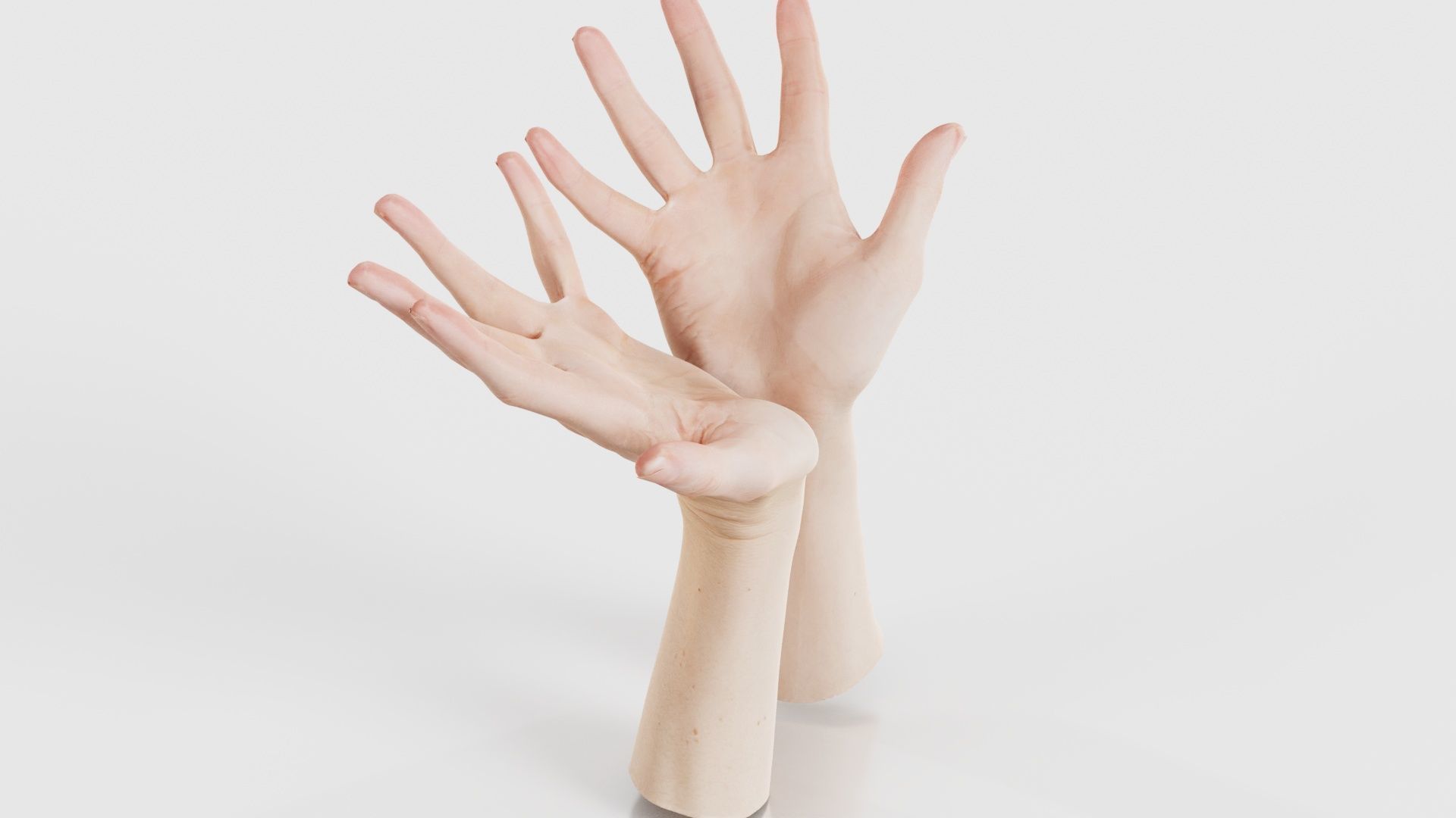 Duo Hands 023 Low-poly 3D model_17