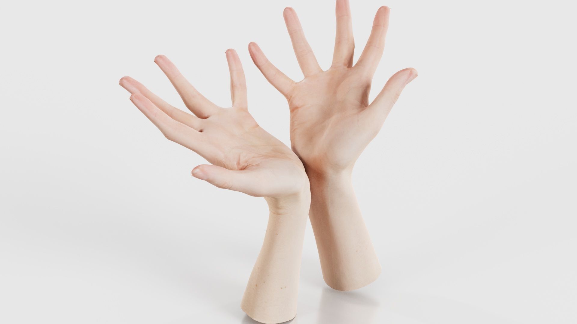 Duo Hands 023 Low-poly 3D model_16
