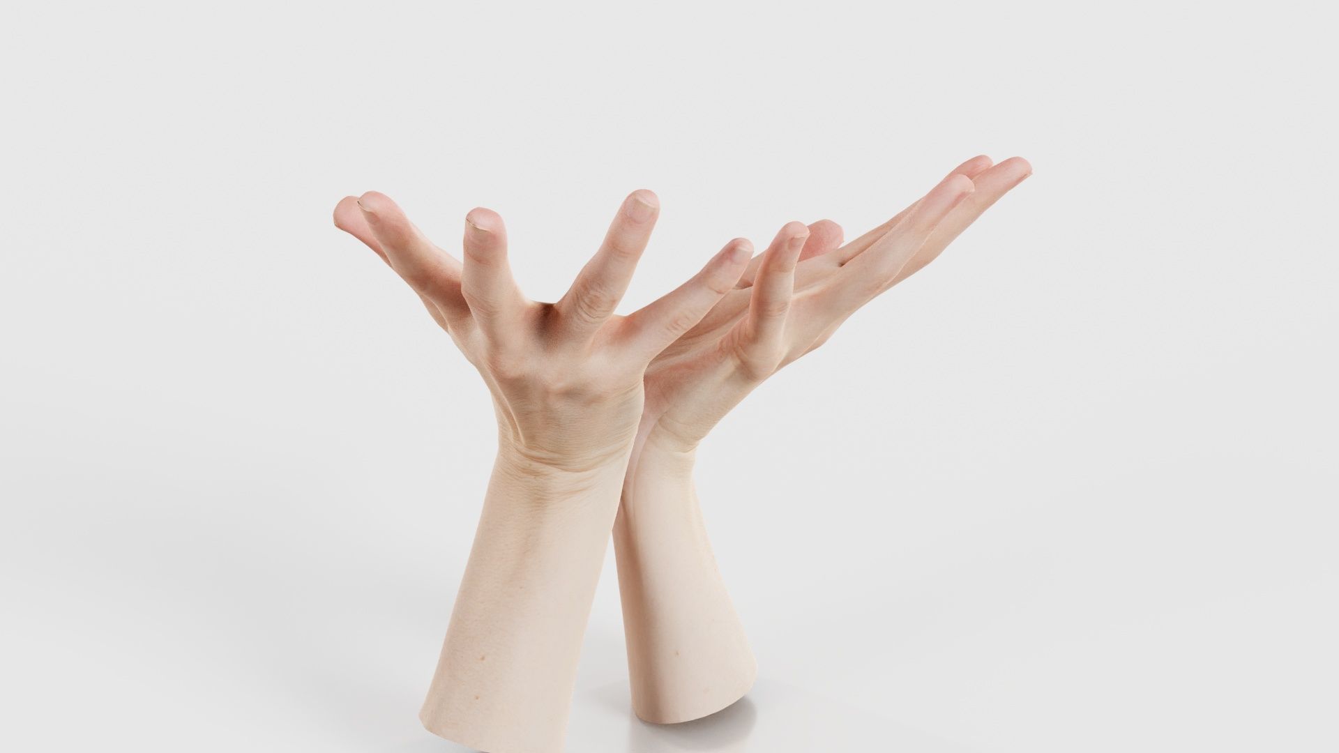 Duo Hands 023 Low-poly 3D model_22