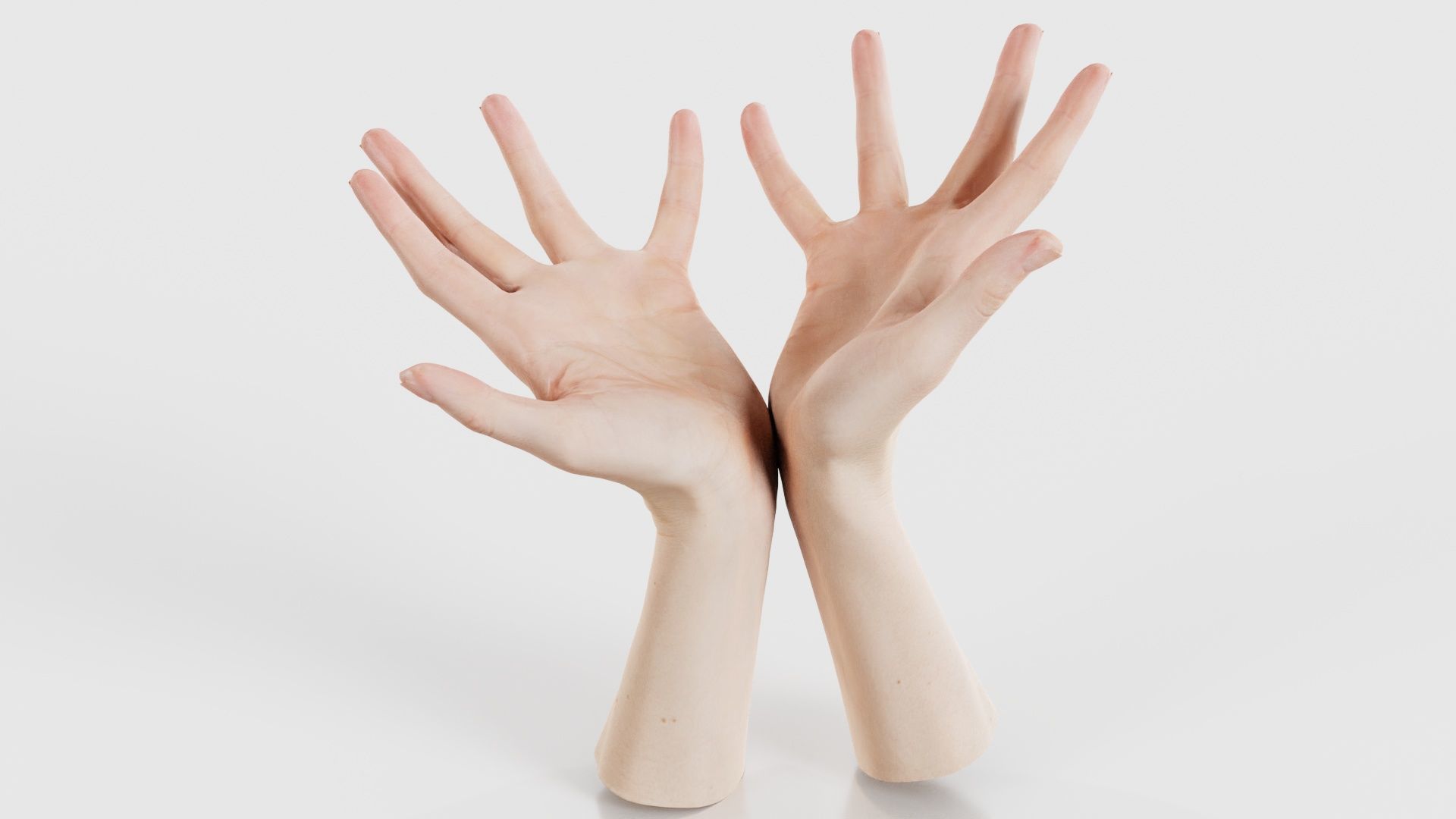 Duo Hands 023 Low-poly 3D model_15