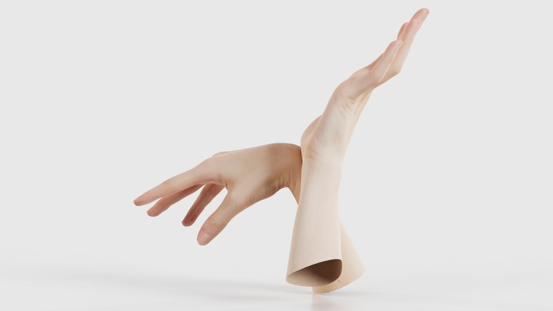 Duo Hands 024 Low-poly 3D model_25