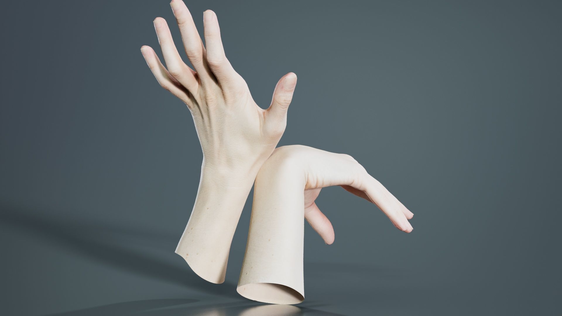 Duo Hands 024 Low-poly 3D model_5