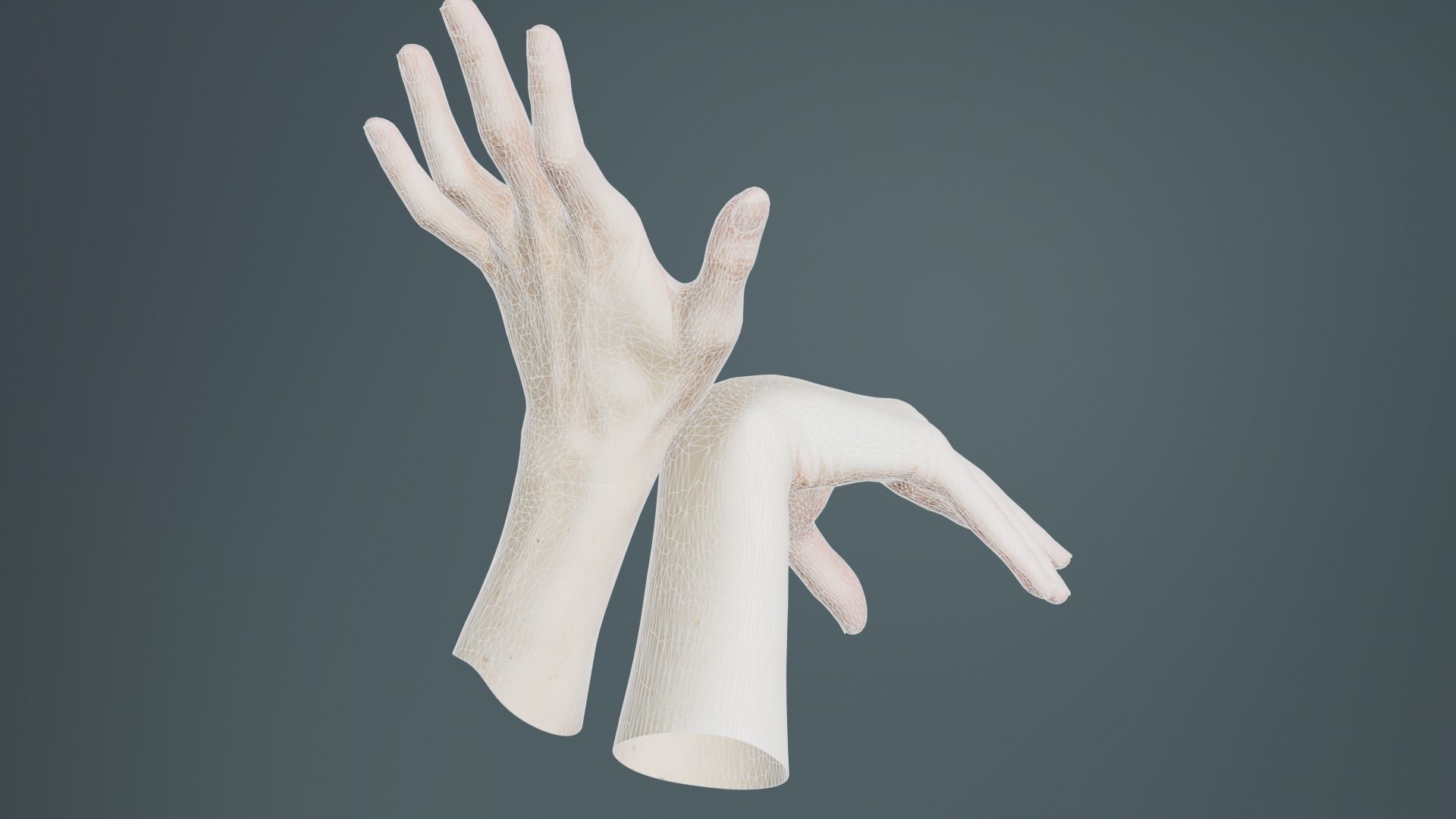Duo Hands 024 Low-poly 3D model_10