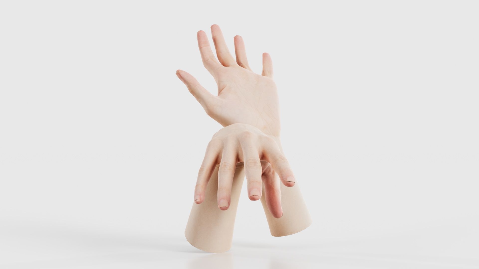 Duo Hands 024 Low-poly 3D model_17