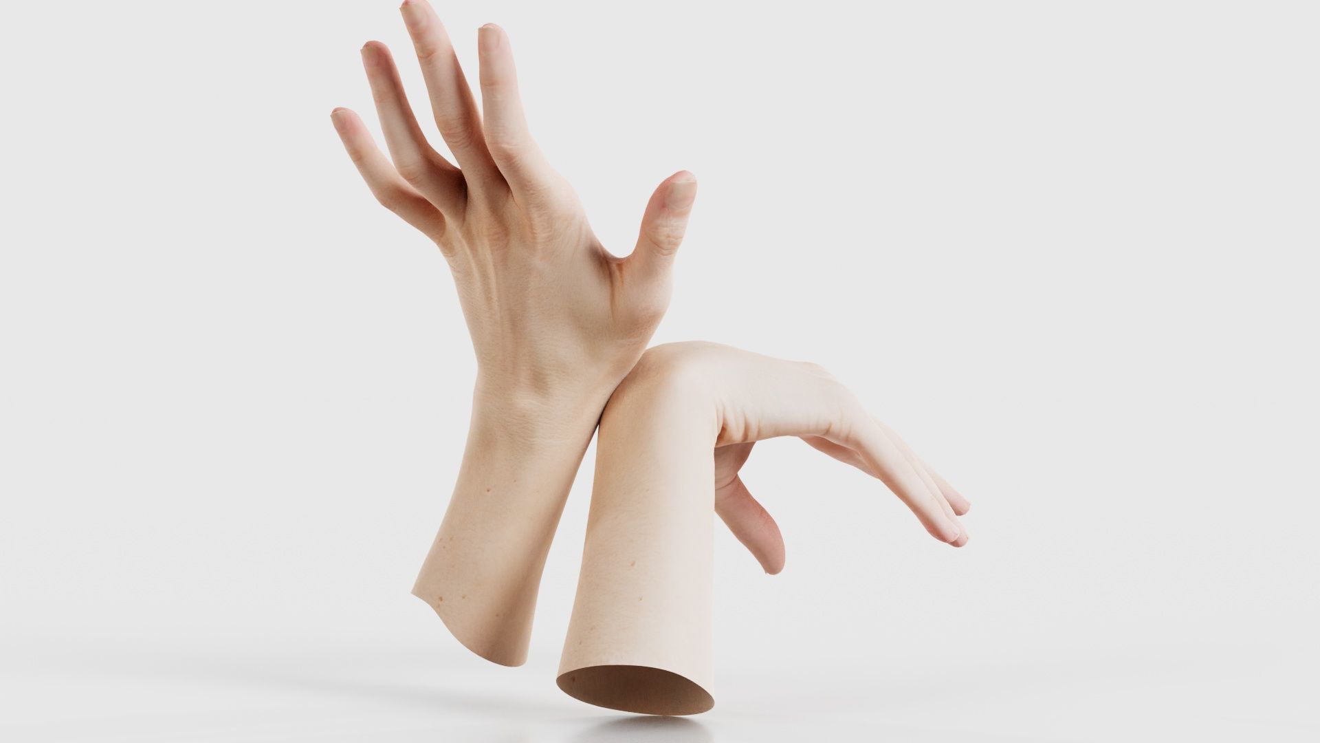 Duo Hands 024 Low-poly 3D model_21