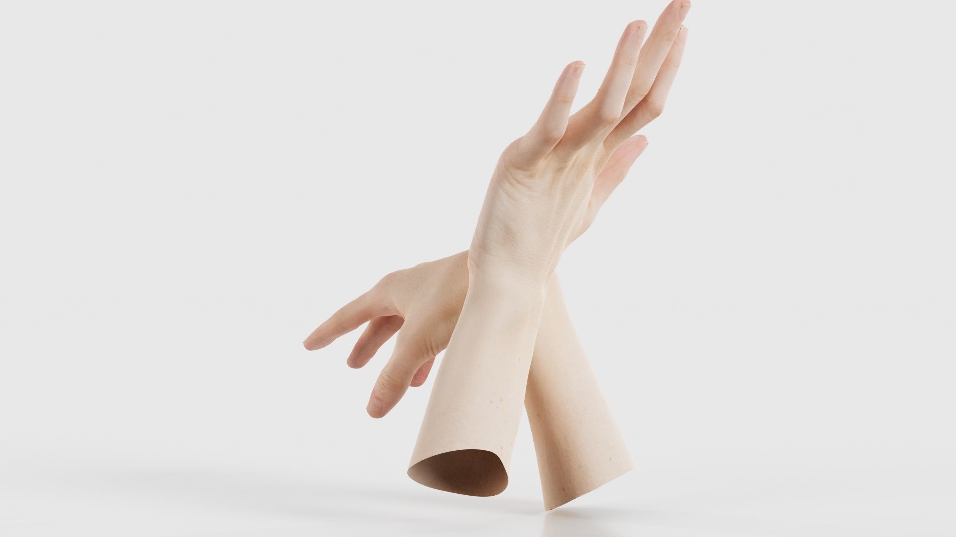 Duo Hands 024 Low-poly 3D model_24