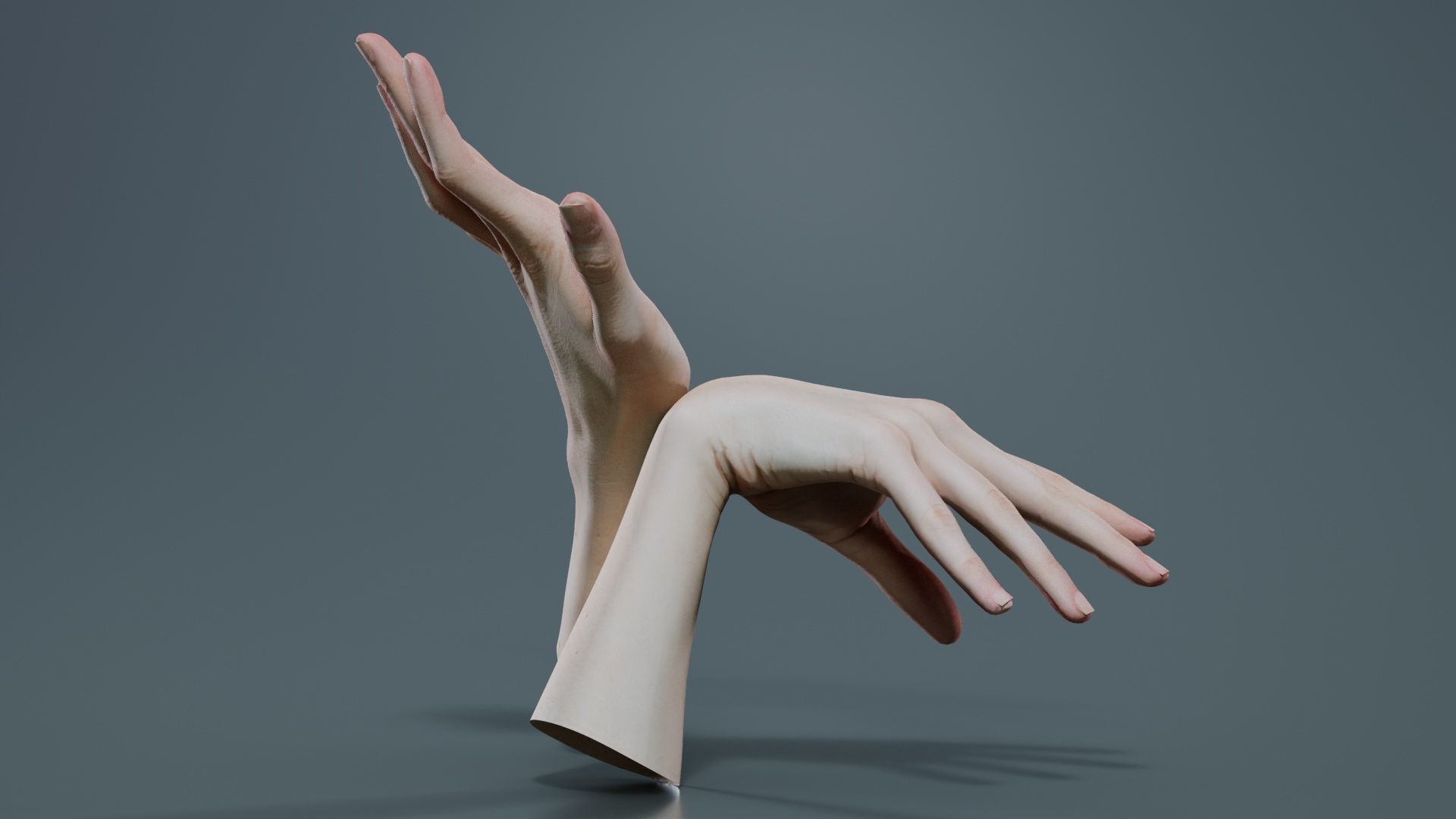Duo Hands 024 Low-poly 3D model_3