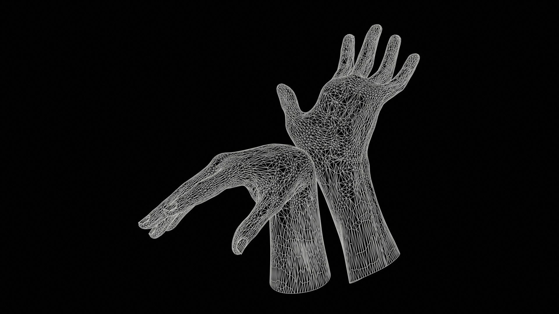 Duo Hands 024 Low-poly 3D model_11