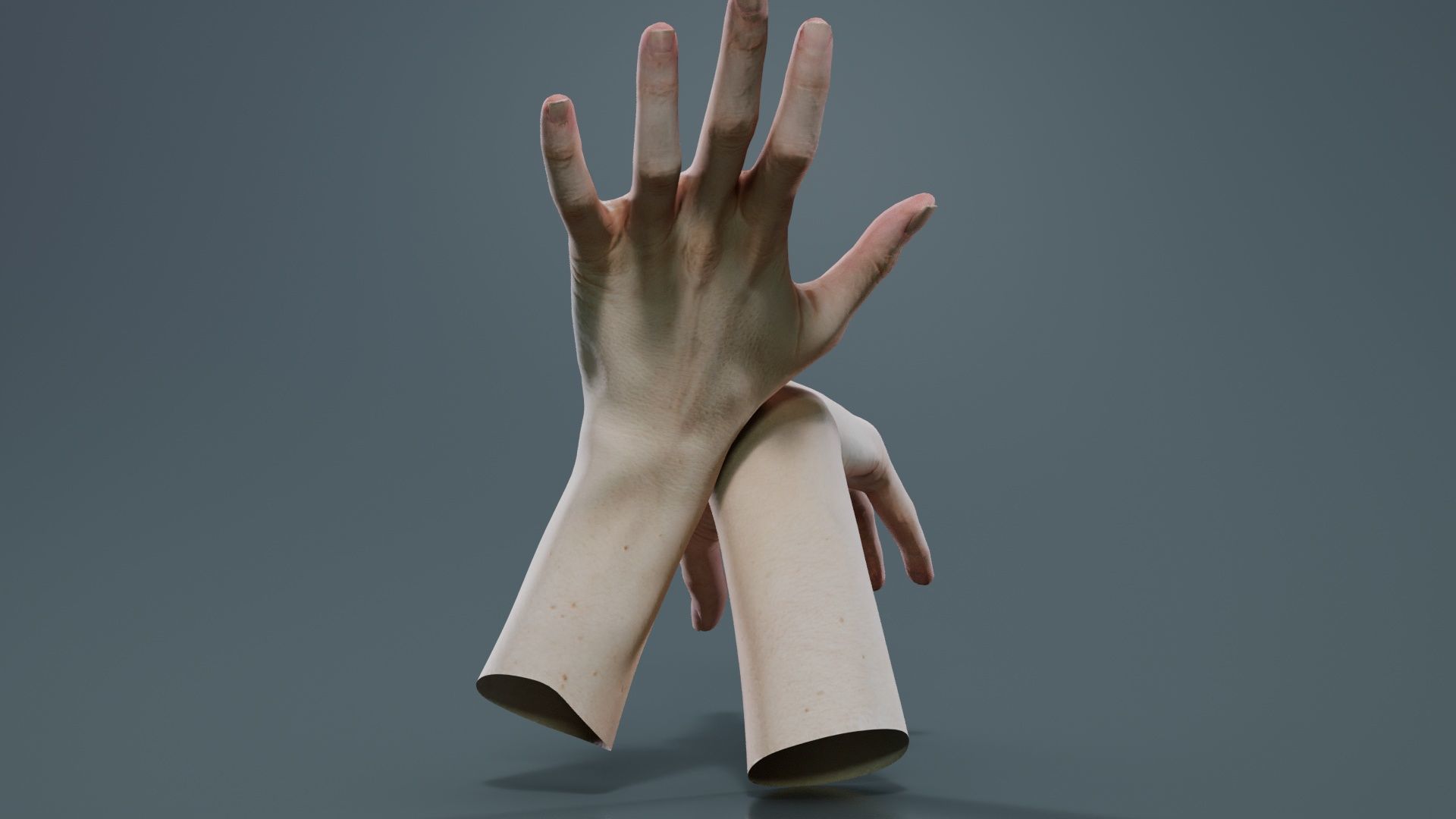 Duo Hands 024 Low-poly 3D model_2