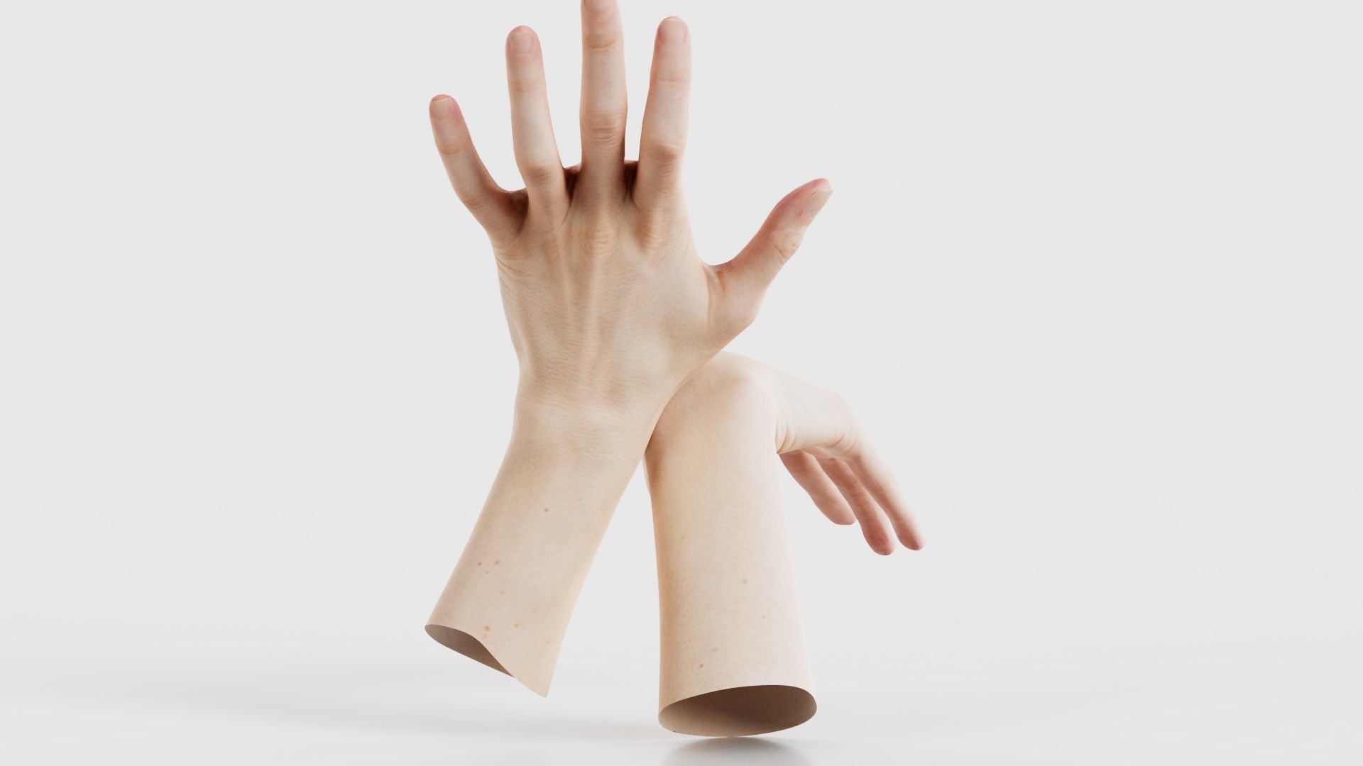 Duo Hands 024 Low-poly 3D model_22