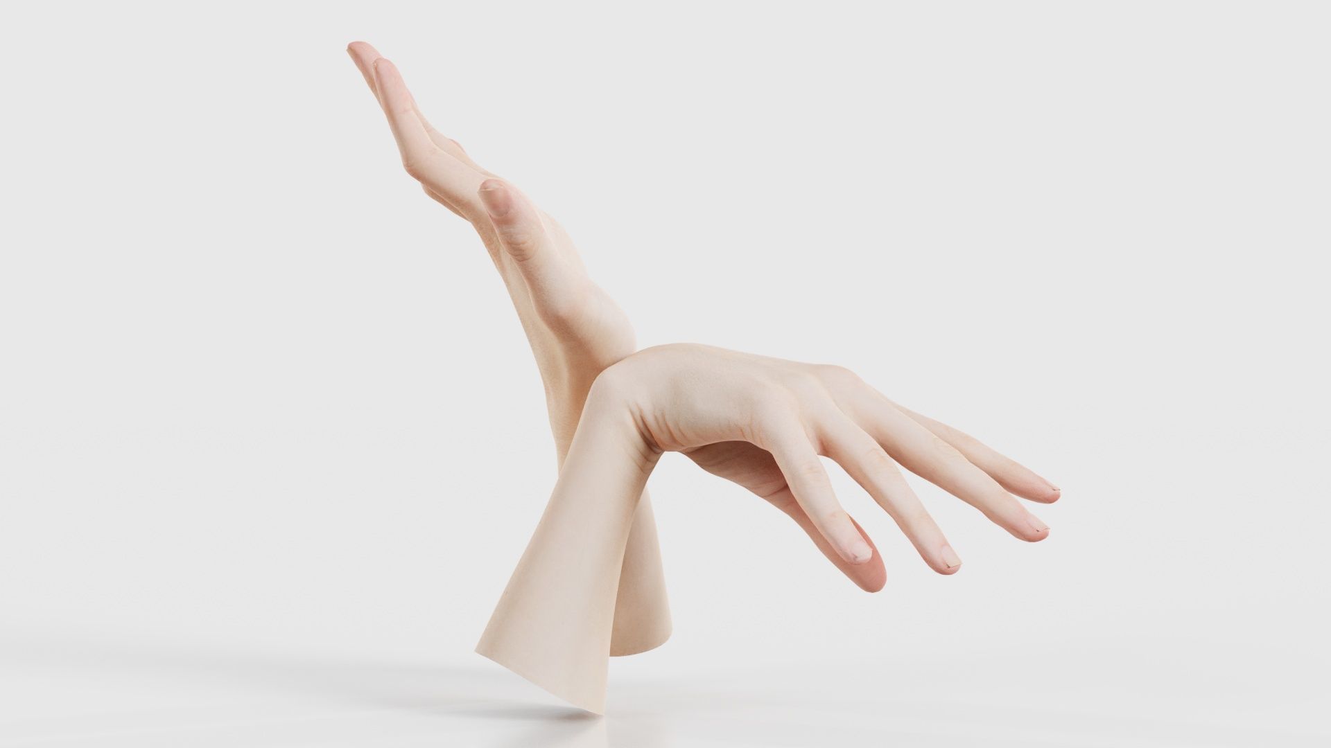 Duo Hands 024 Low-poly 3D model_19