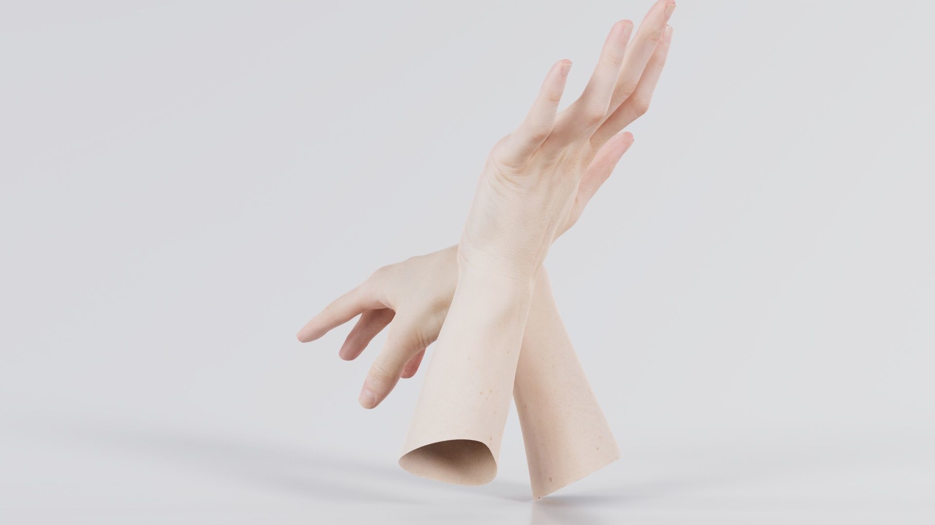 Duo Hands 024 Low-poly 3D model_8