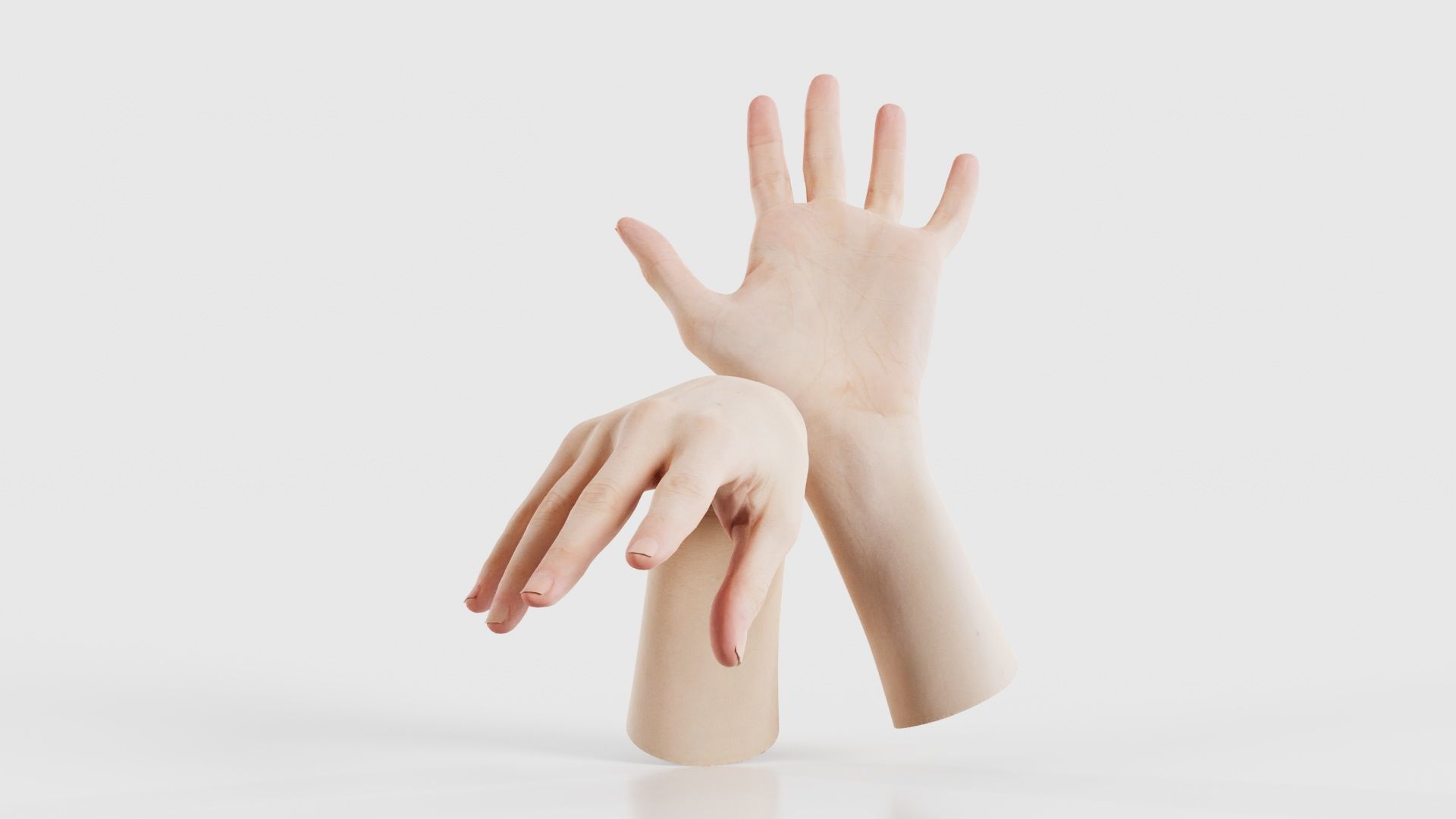 Duo Hands 024 Low-poly 3D model_16