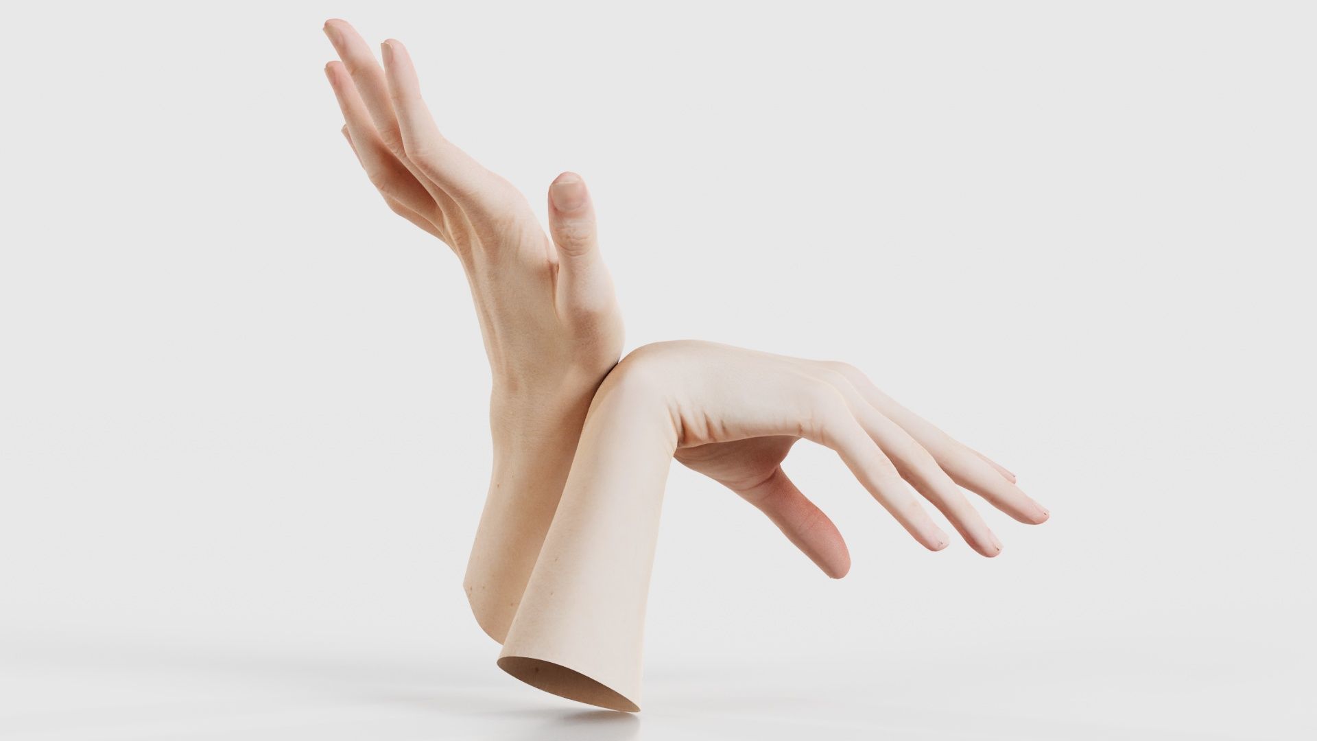 Duo Hands 024 Low-poly 3D model_20