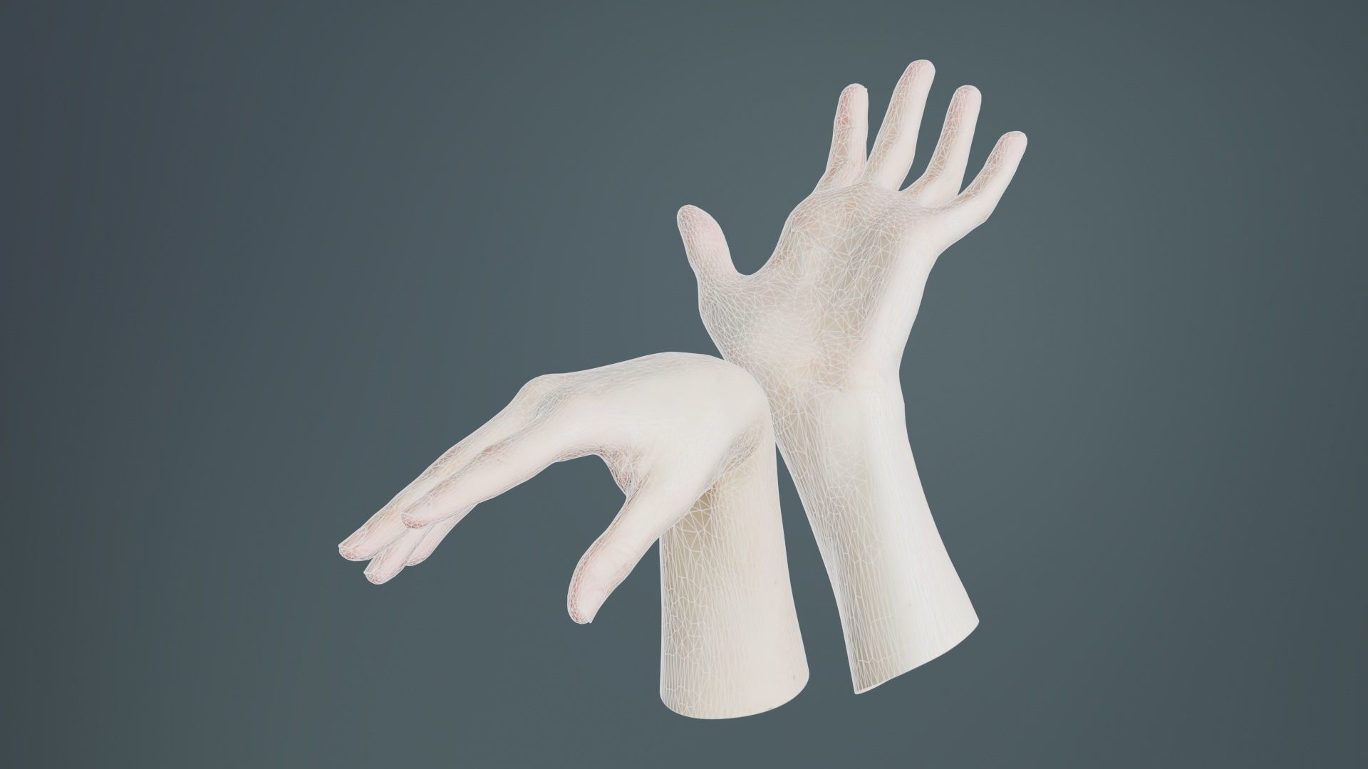 Duo Hands 024 Low-poly 3D model_9