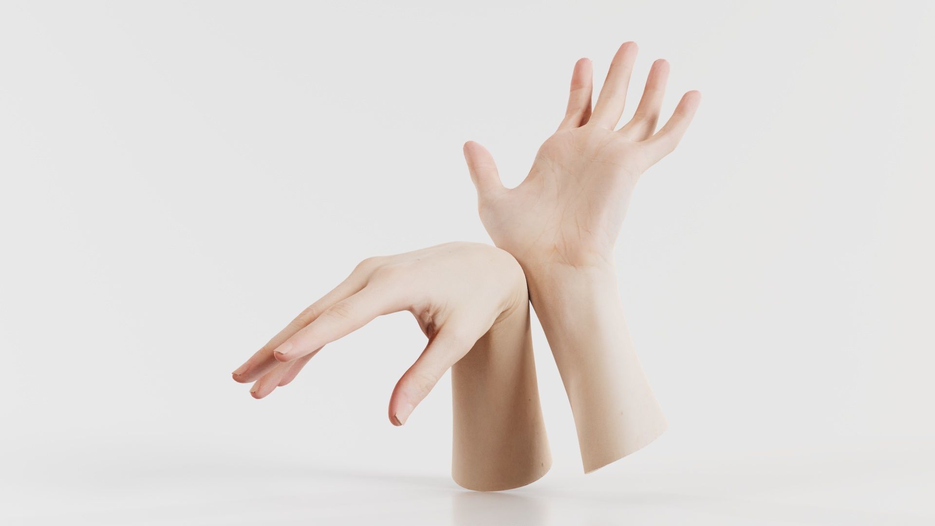 Duo Hands 024 Low-poly 3D model_7