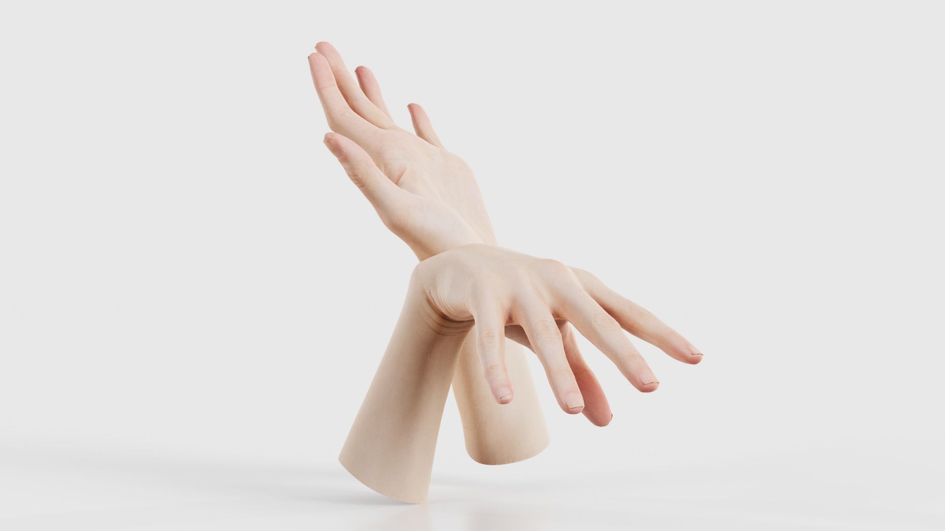 Duo Hands 024 Low-poly 3D model_18