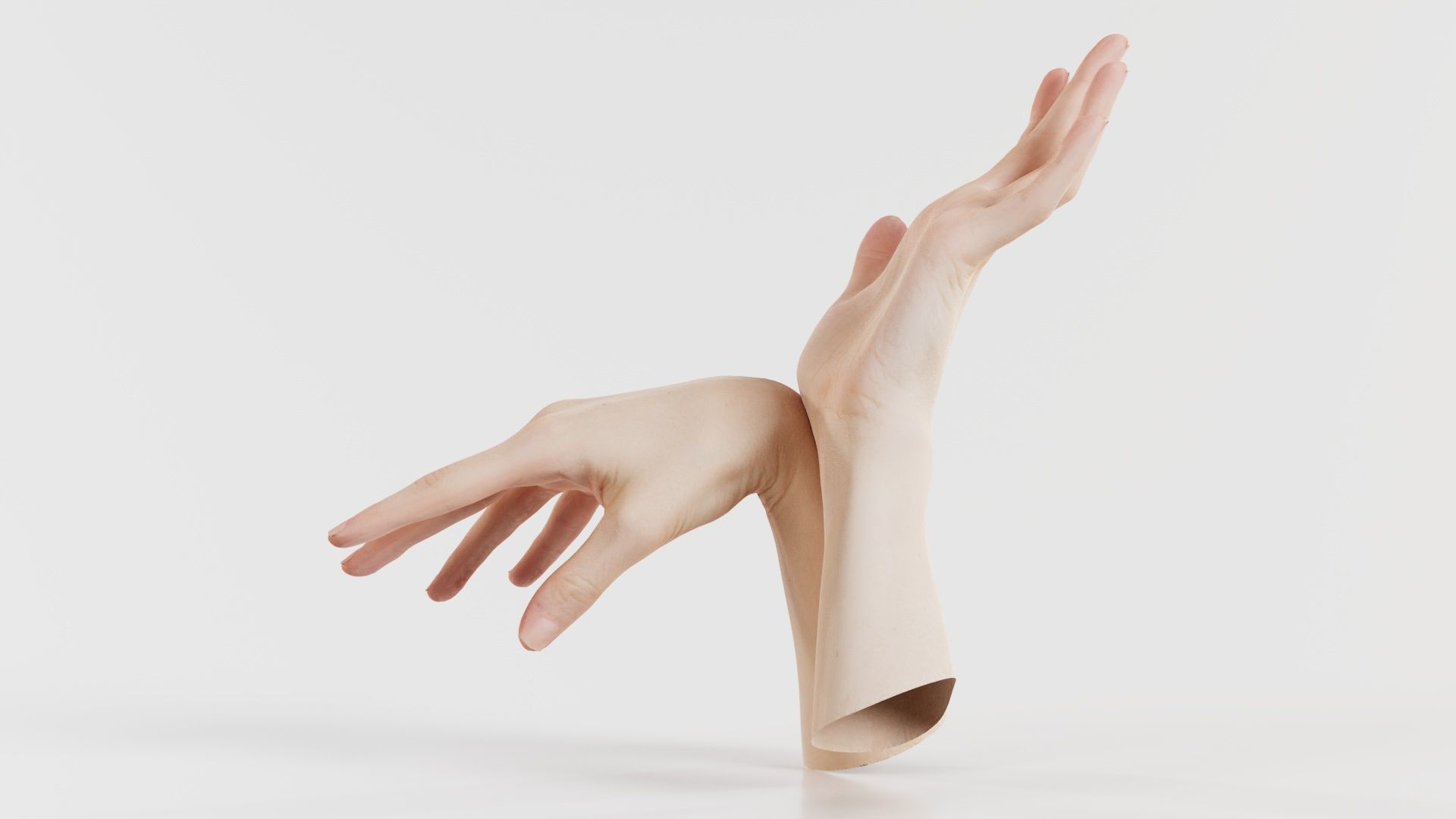 Duo Hands 024 Low-poly 3D model_1