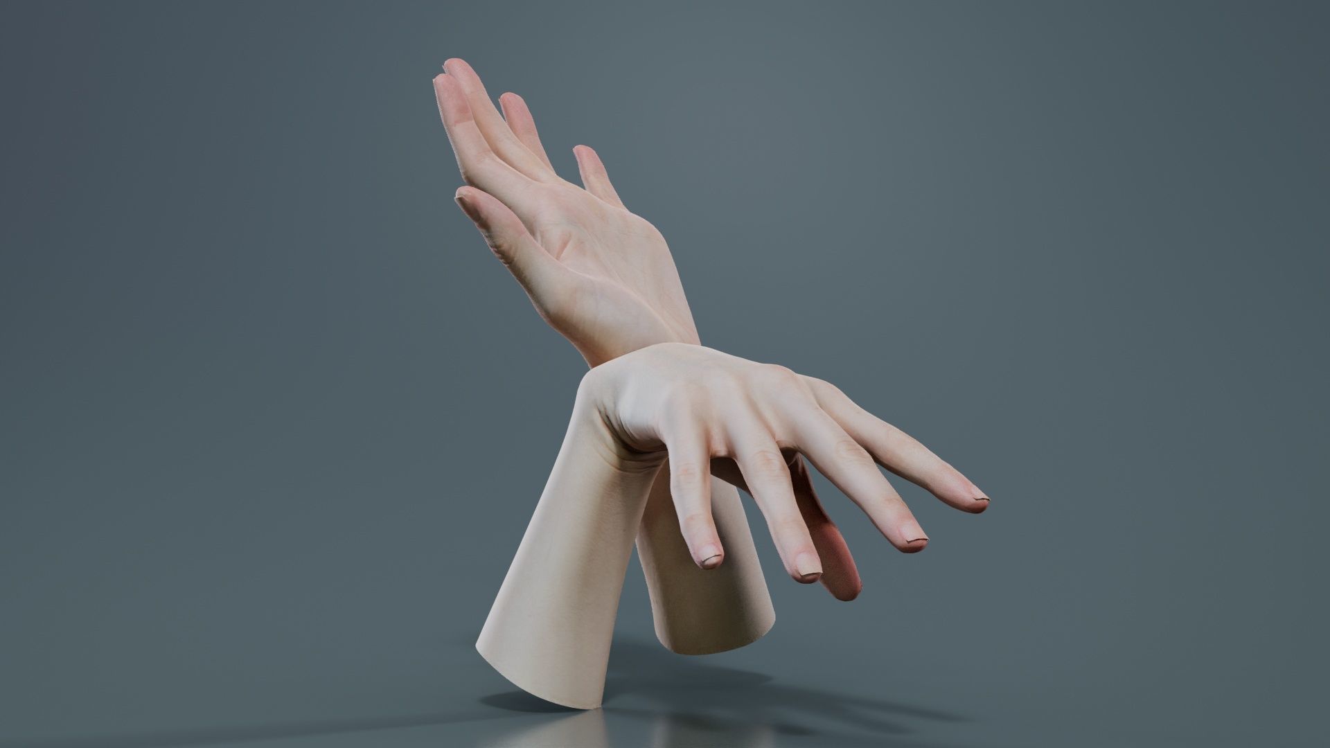 Duo Hands 024 Low-poly 3D model_4